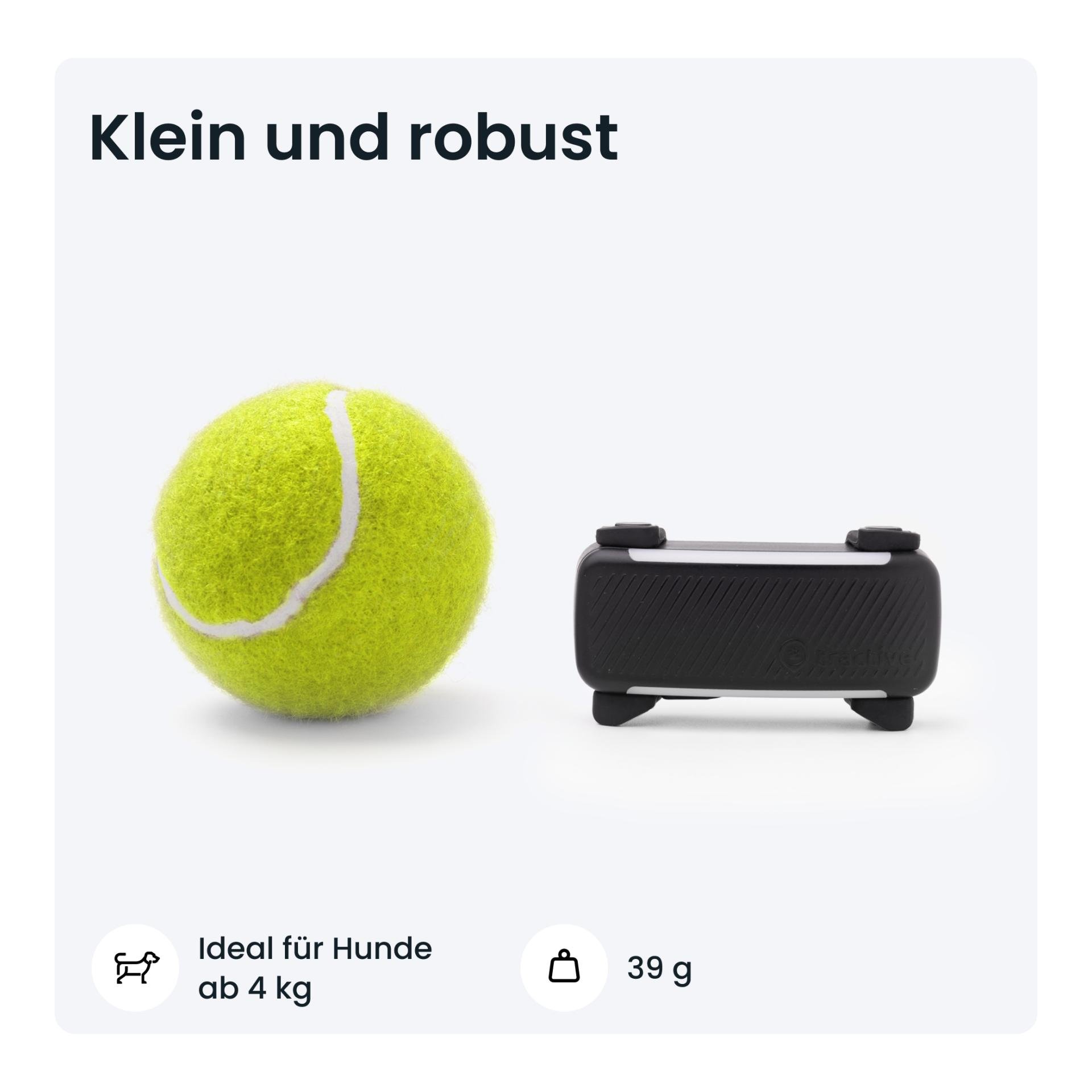 Tracker GPS pour chiens DOG 6