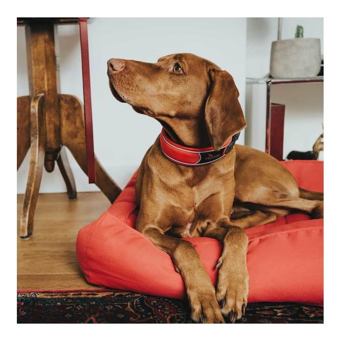 Halsung Divo - rot/grau