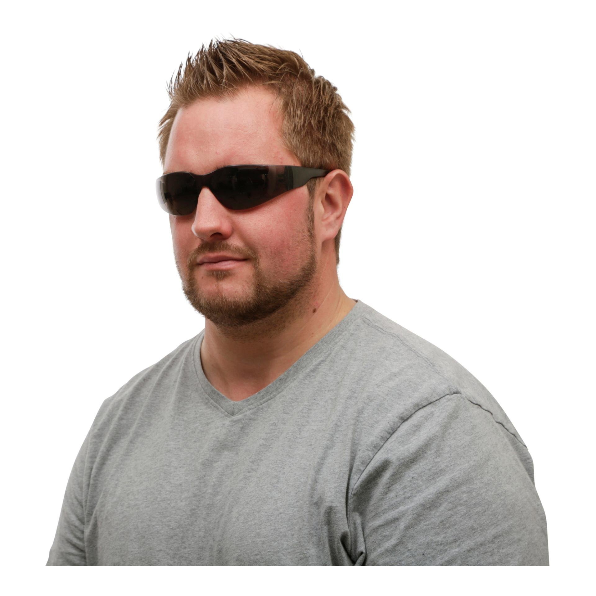 Lunettes de protection Light, teintées en SB-Pack