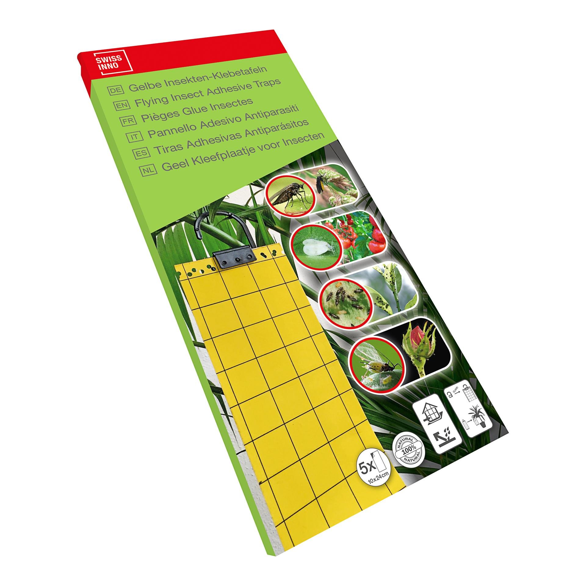 Gelbe Insekten-Klebetafel - 5er Set