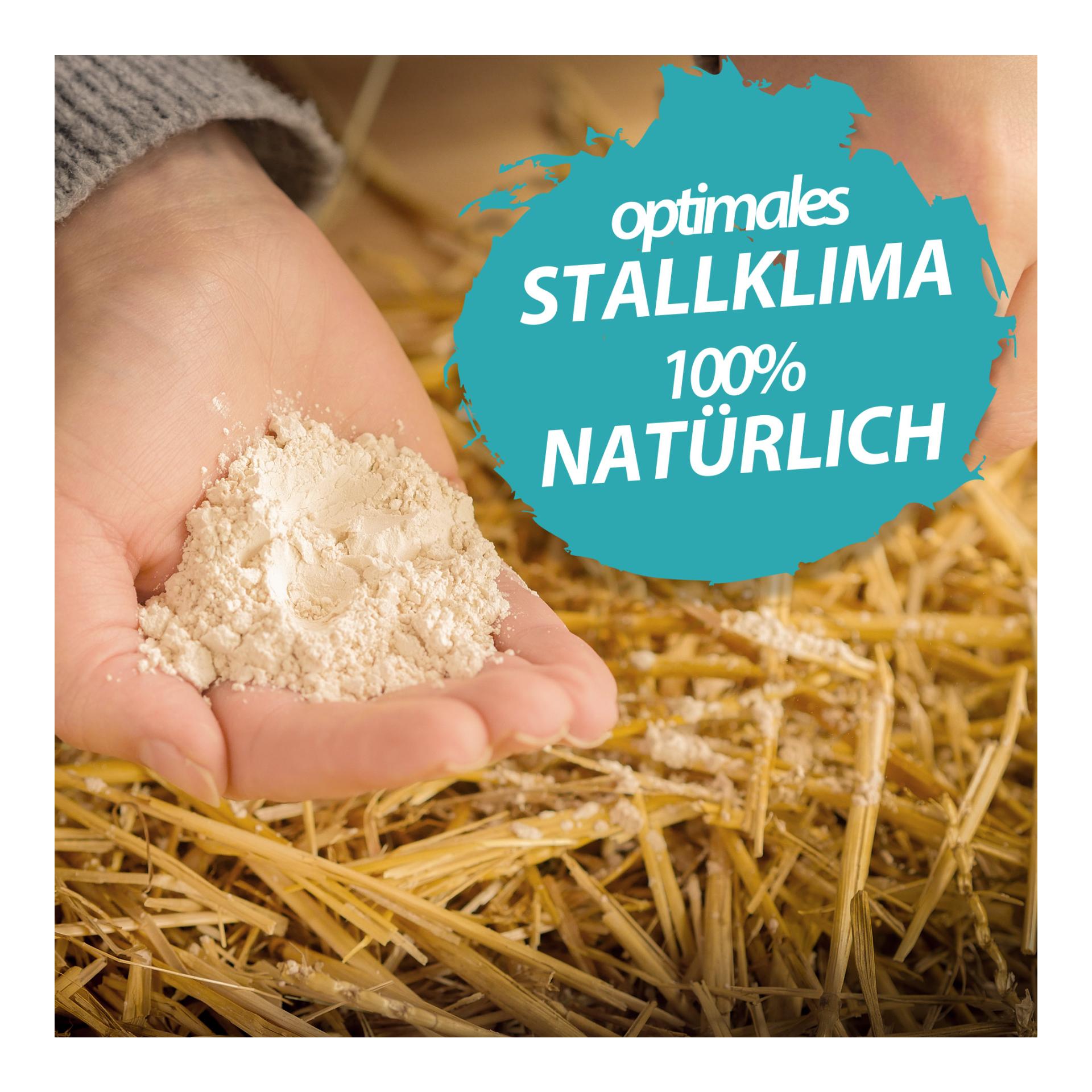 Terre de diatomée Natur - Terre de diatomée en poudre