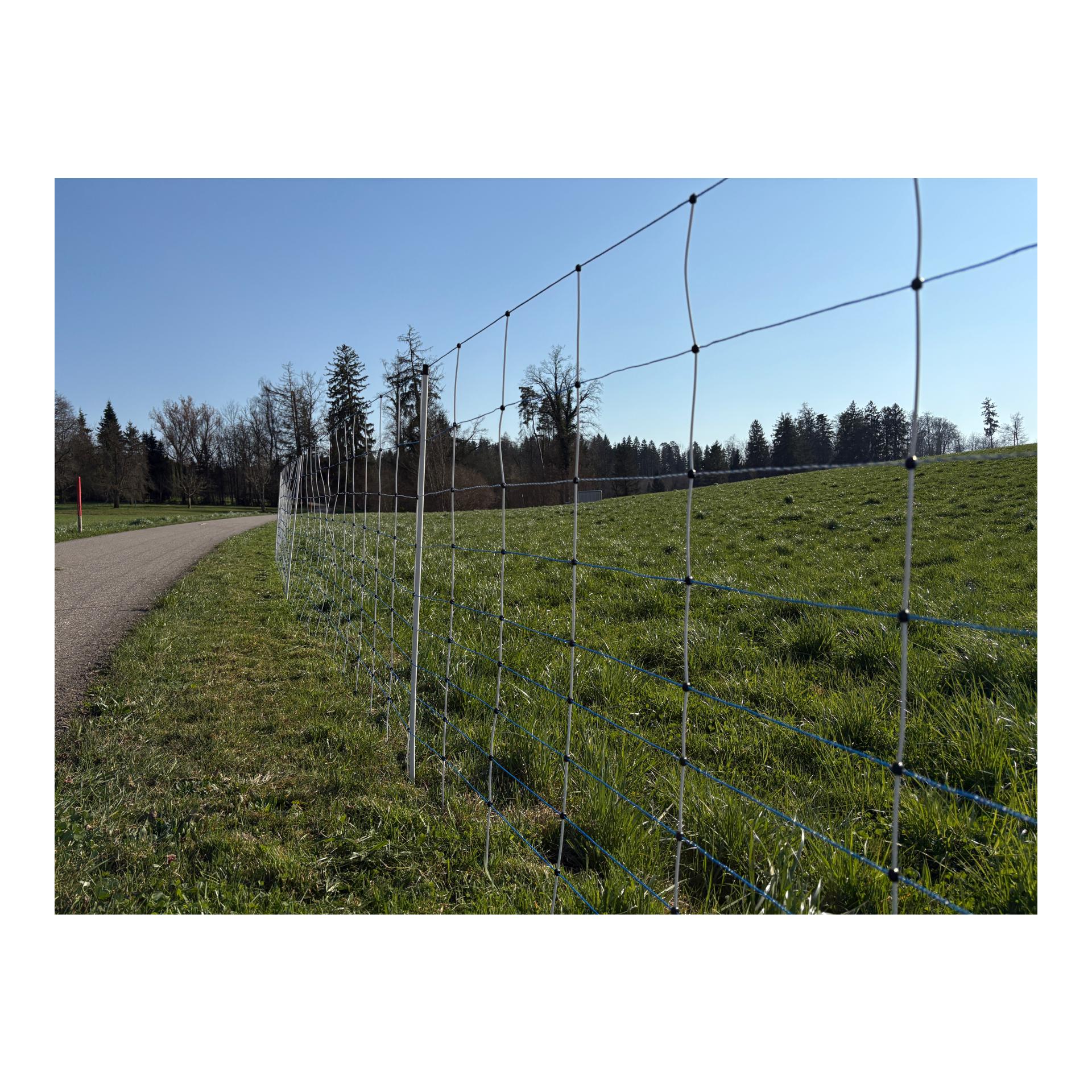 Hauptner Weidenetz Primaflex Swiss - Einzelspitz