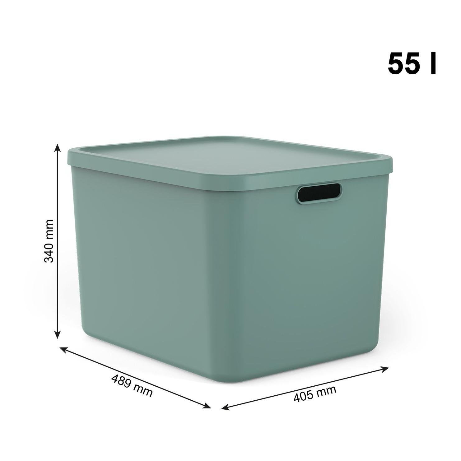 Rotho Multibox ALBULA