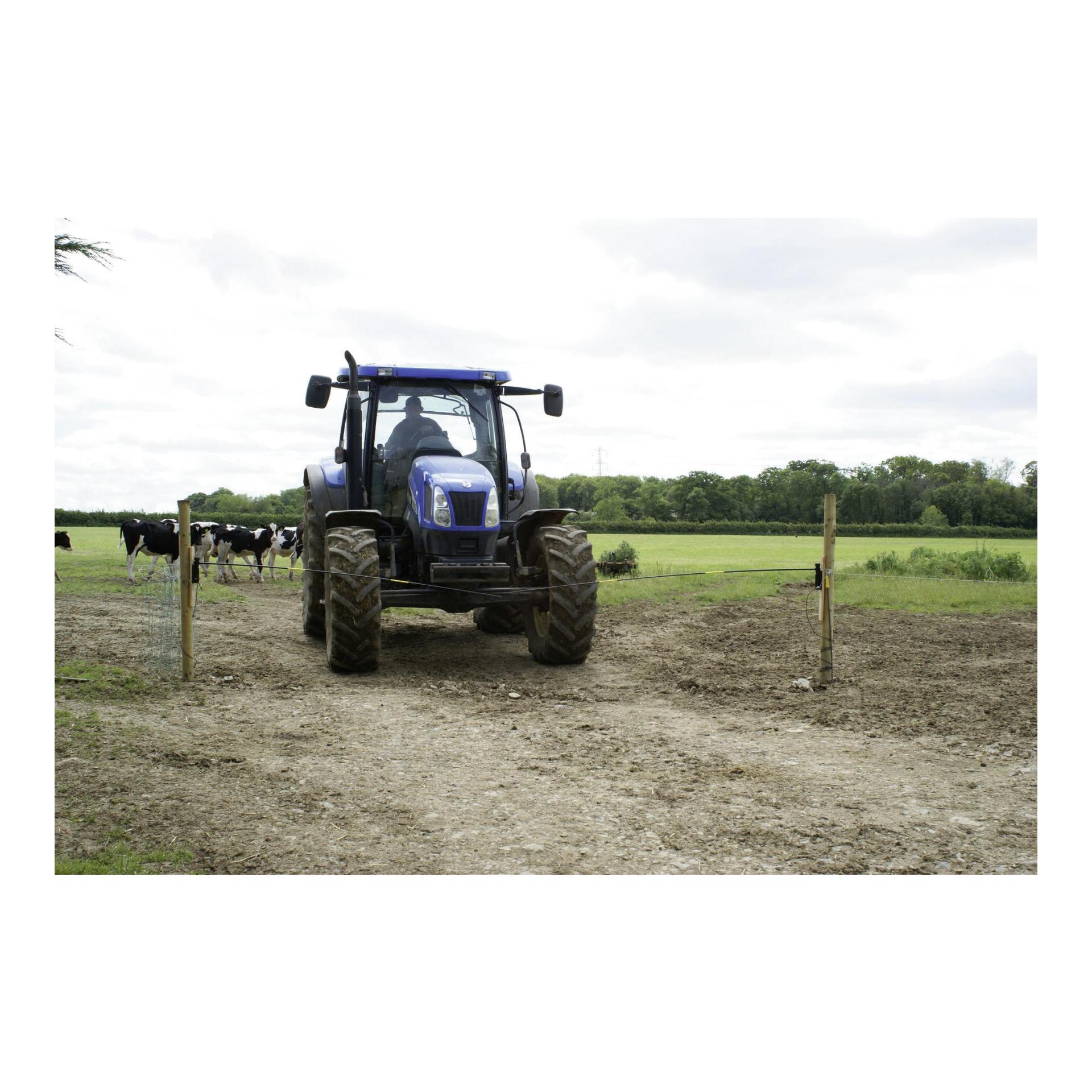 Weidezaun-Torwächter Set