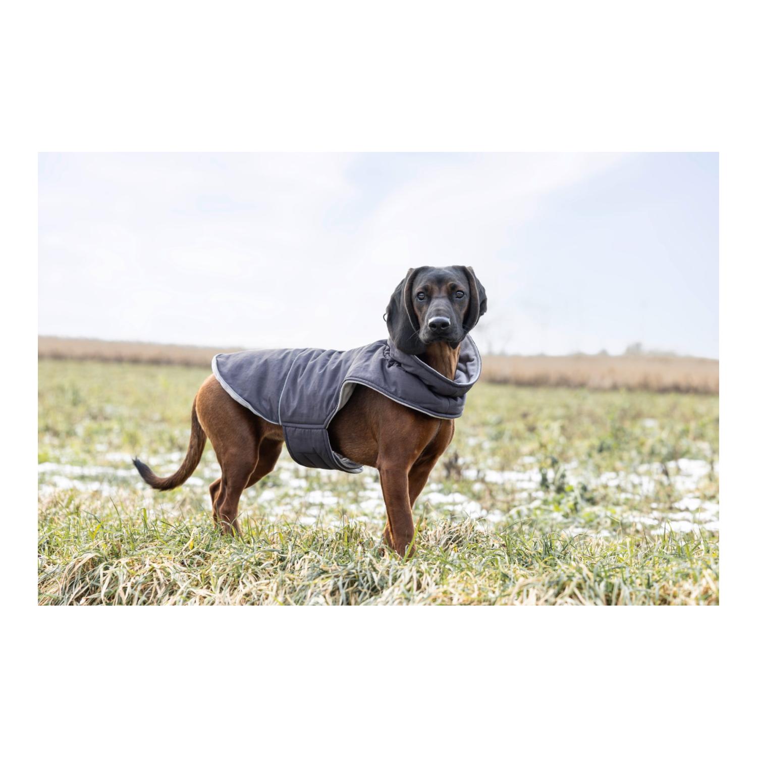 Hundemantel Montreal