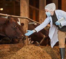 Hauptner-VET-KAT-Hygiene