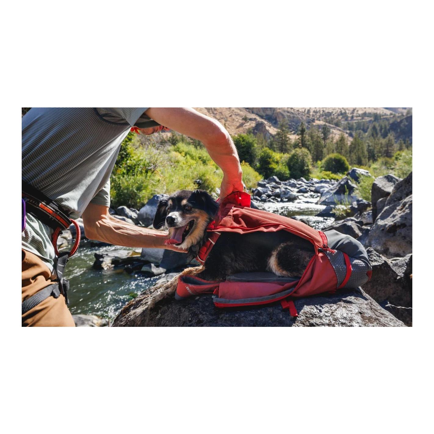 Hundetragetasche Hitch Hiker