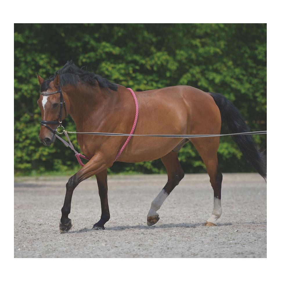 Longierhilfe - rot/ grau