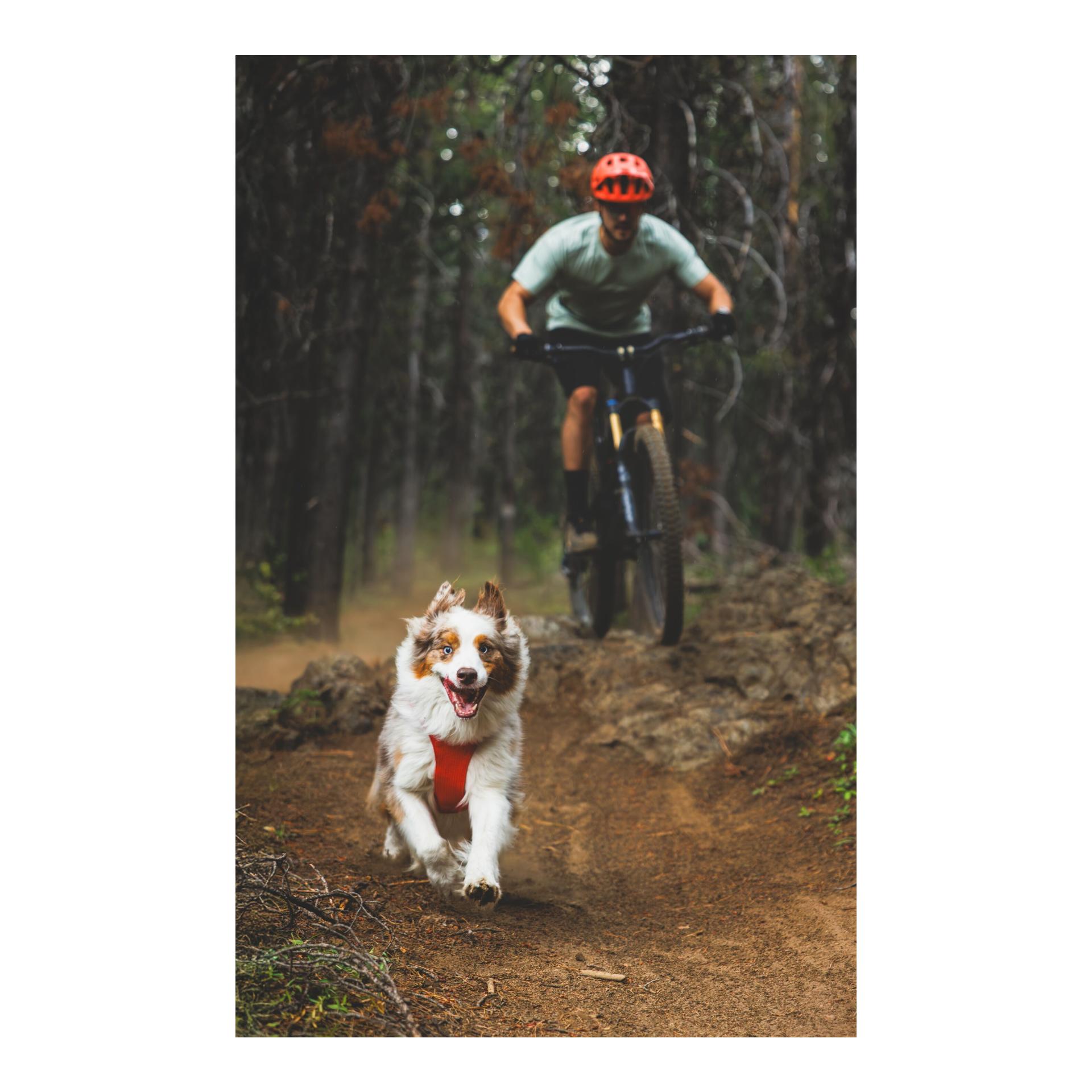 Ruffwear Front Range® Flex Hundegeschirr