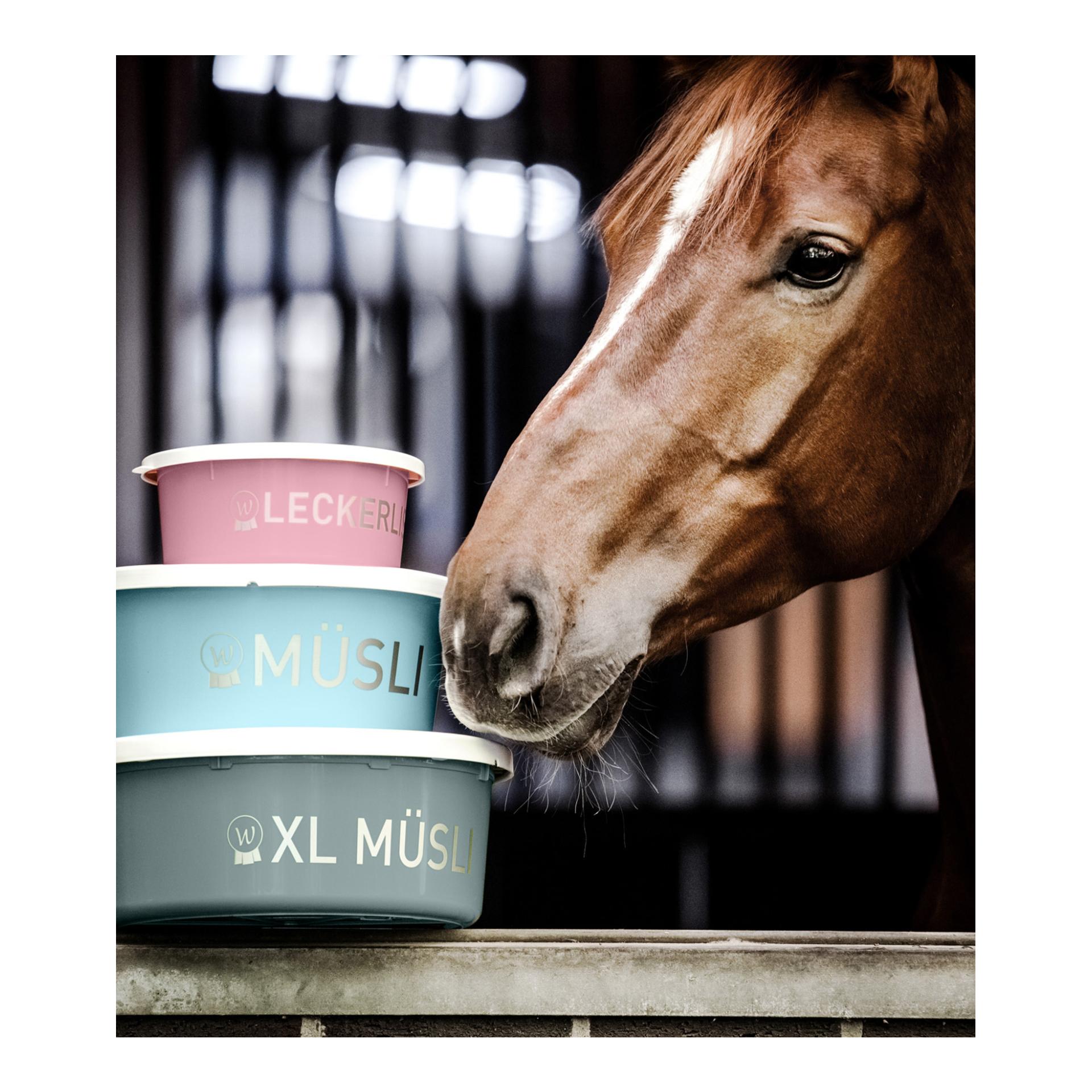 Leckerli-Schale mit Deckel