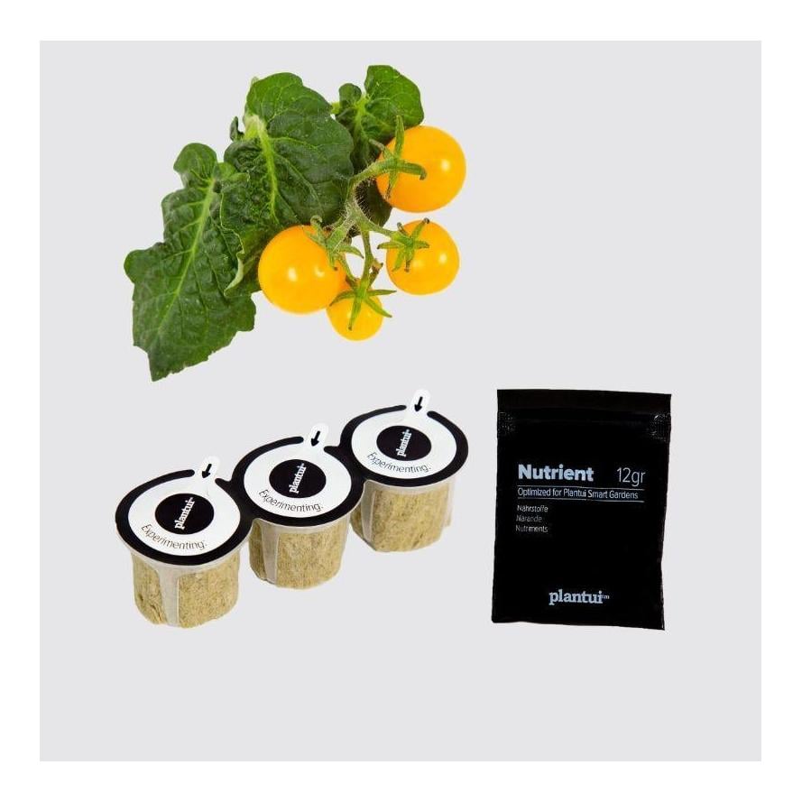 Image of Plantui Cherry Tomate "Venus" Kapsel Smart Garden bei Hauptner.ch