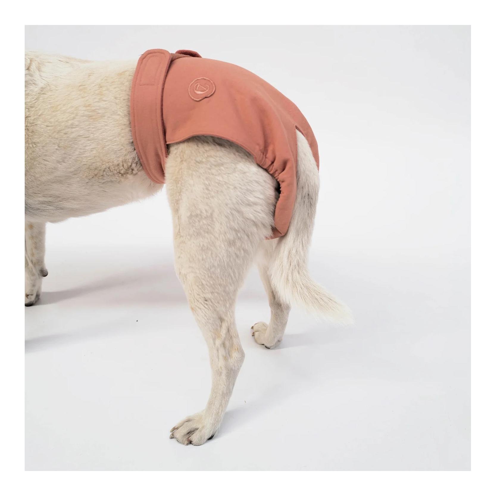 Läufigkeitshöschen für Hunde