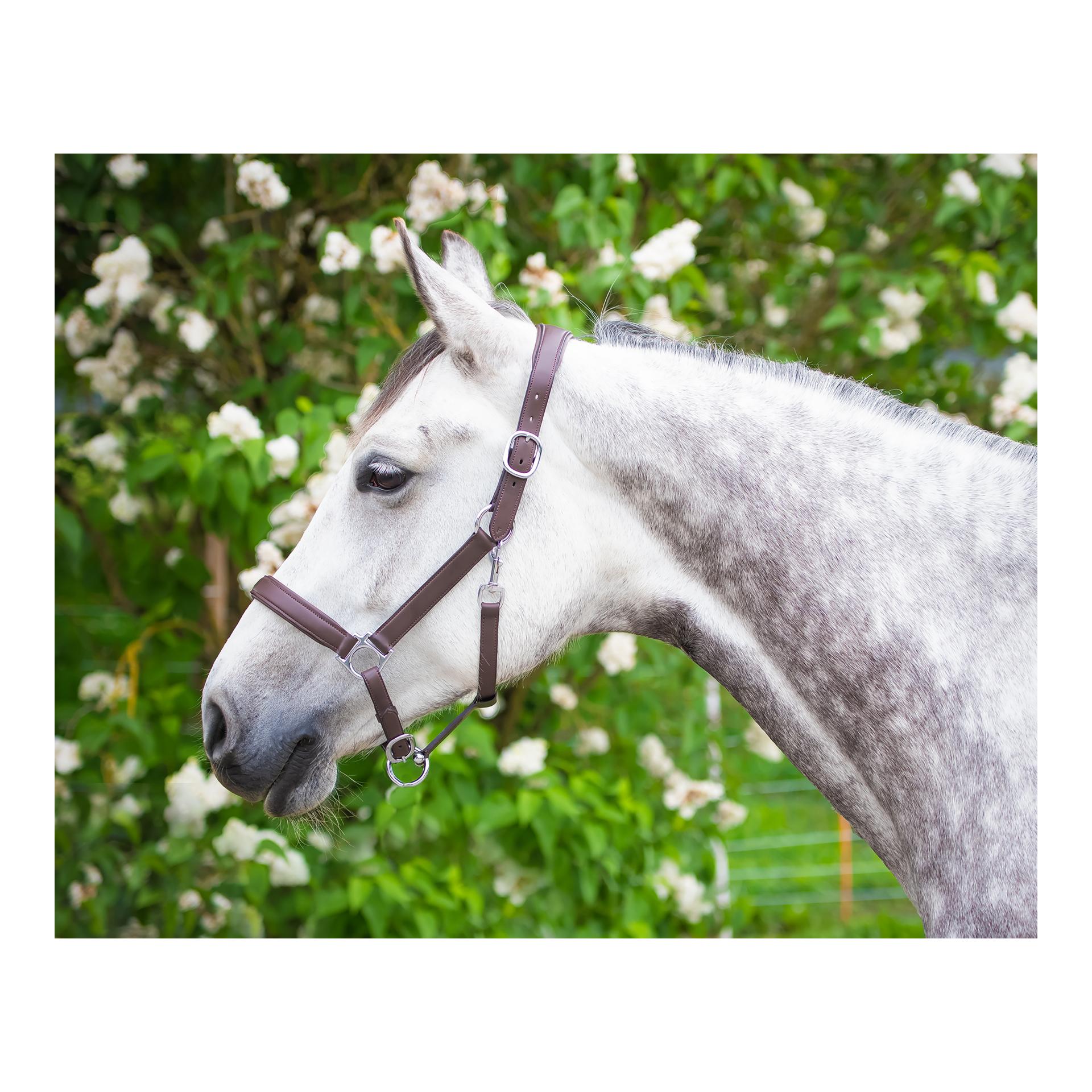 Halfter Mela Anatomical - braun/silber