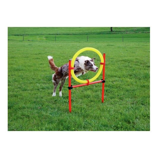 Agility Komplett-Set 3-teilig- rot/gelb