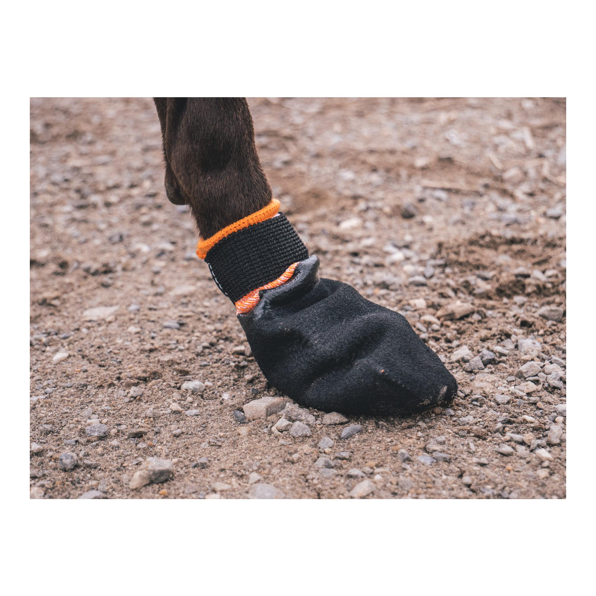 Protector Booties, 4 pièces