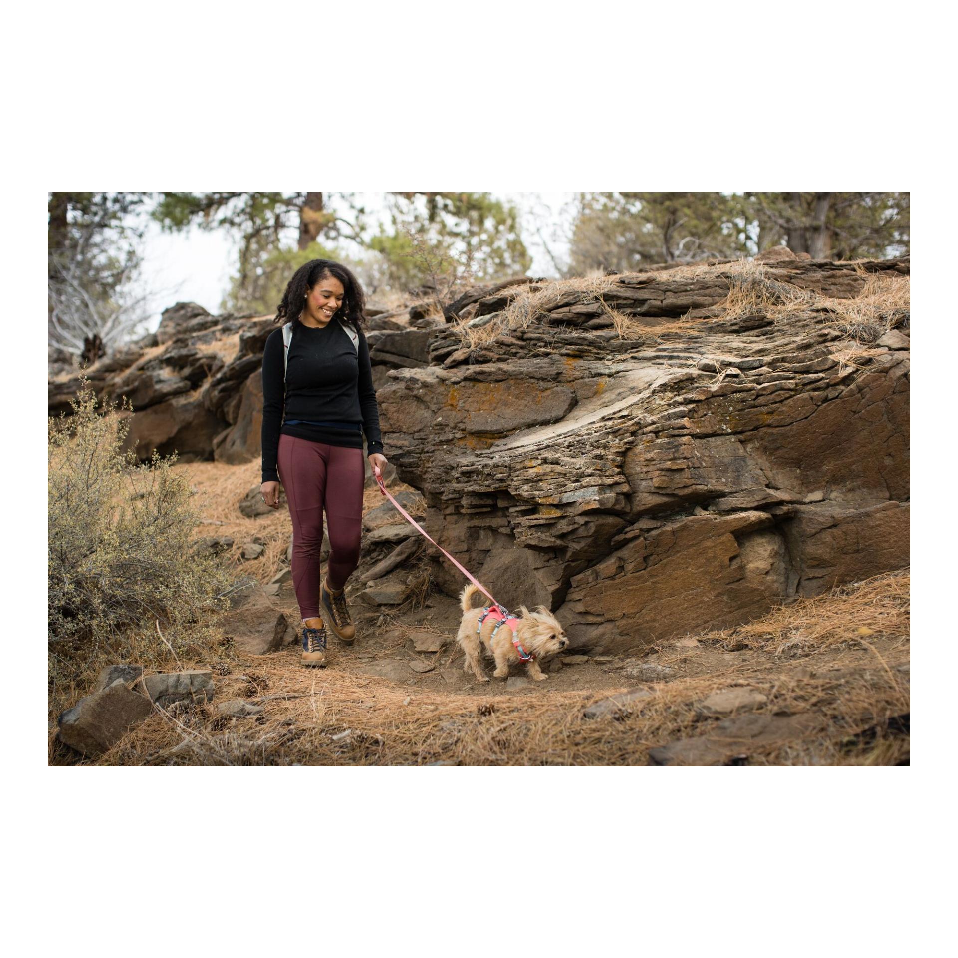Ruffwear Harnais Flagline™