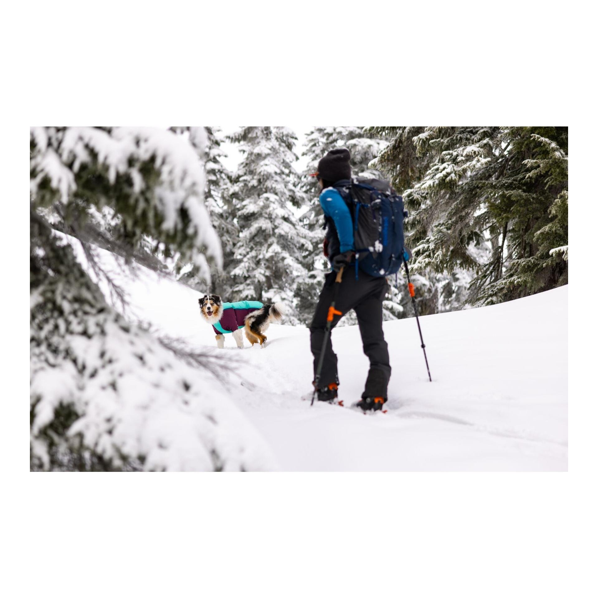 Powder Hound™ veste