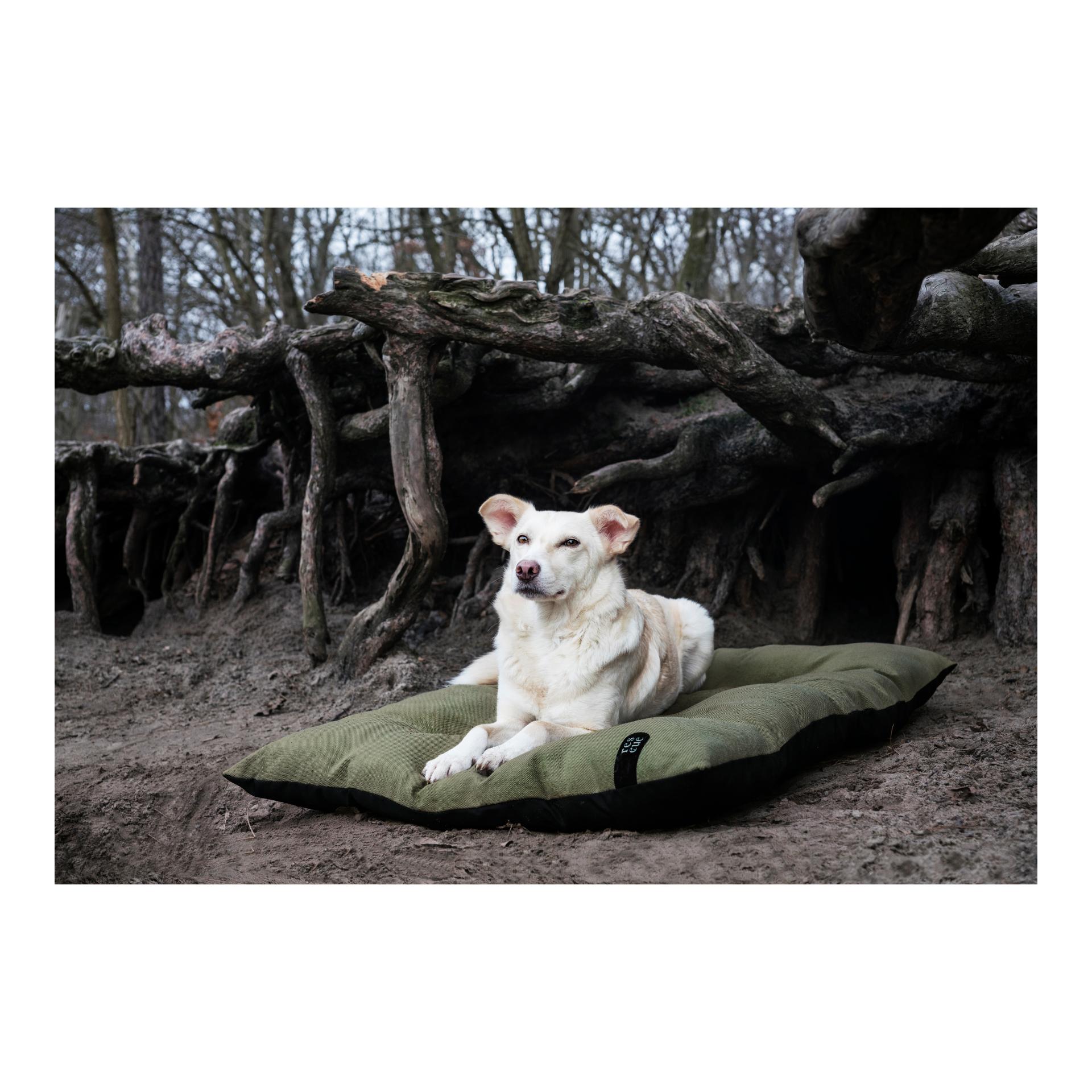 Hundekissen RESC7UE