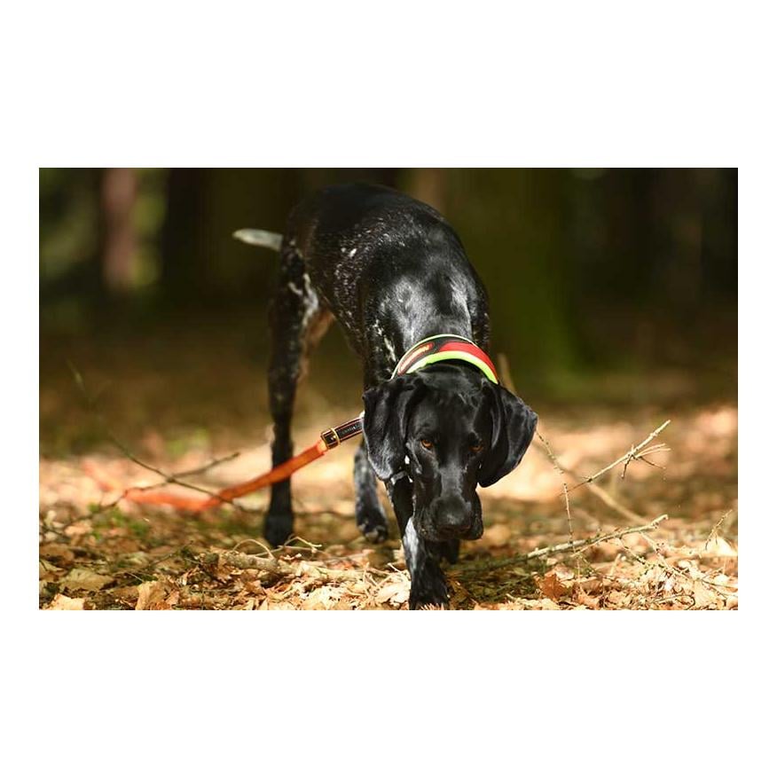 Schweisshalsung Trail