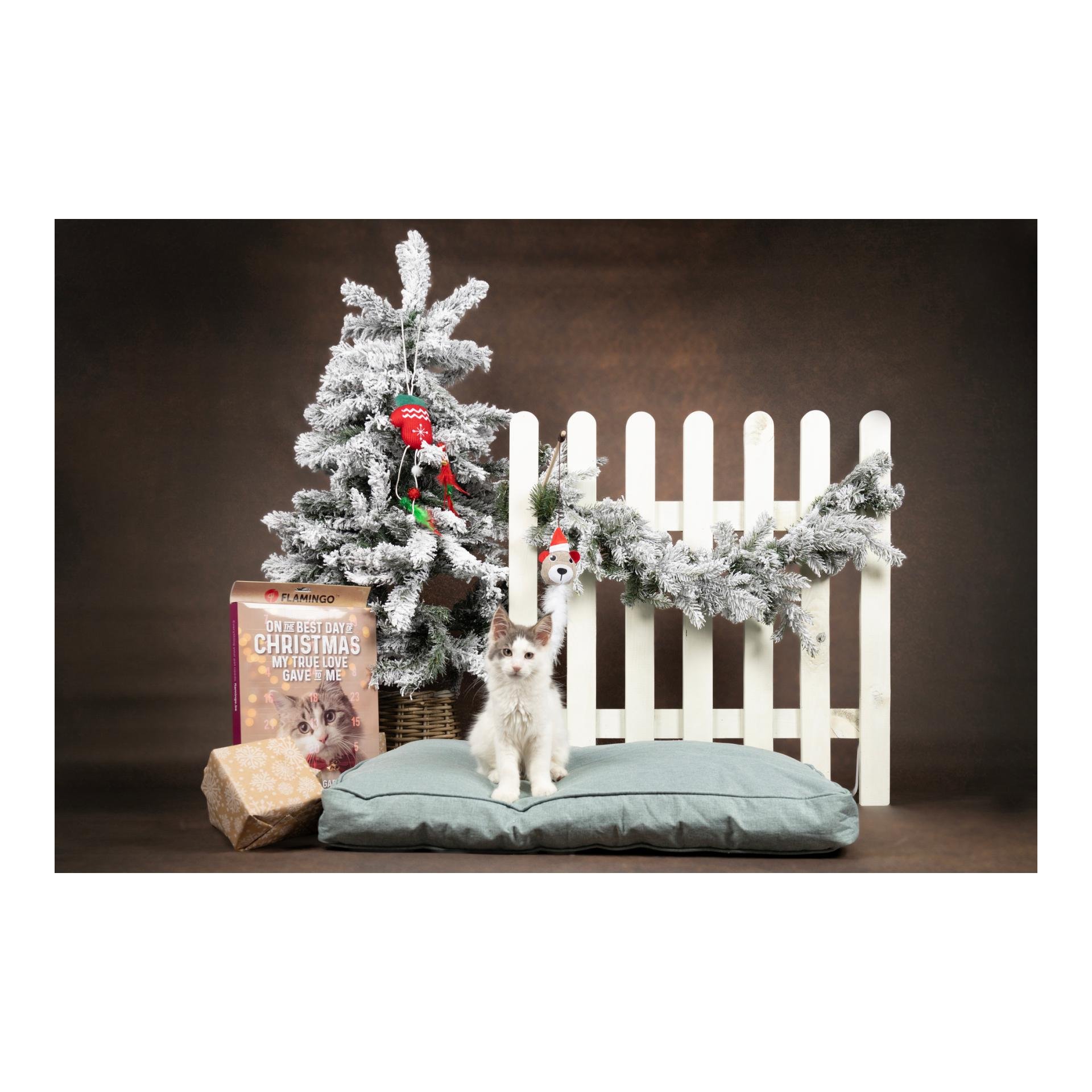 Adventskalender Katze - CHRISTMAS CALENDAR CHICK’N SNACK CAT