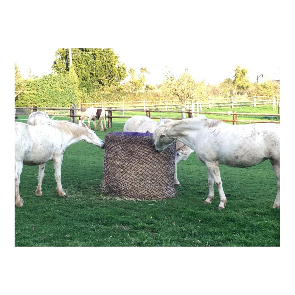 Futtersparnetz für Rundballen 5 x 5 cm Maschenweite