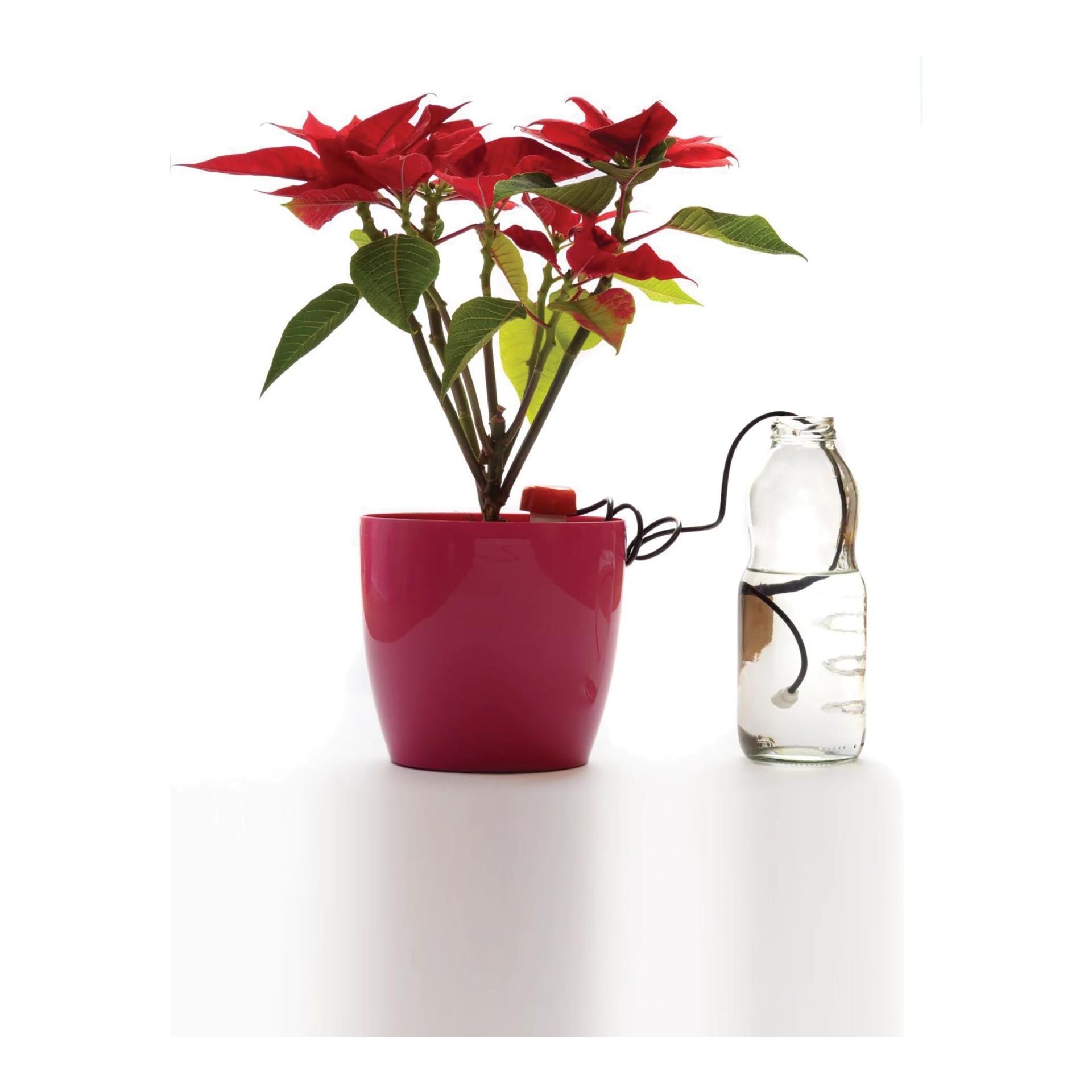 Bewässerungssystem Idoz