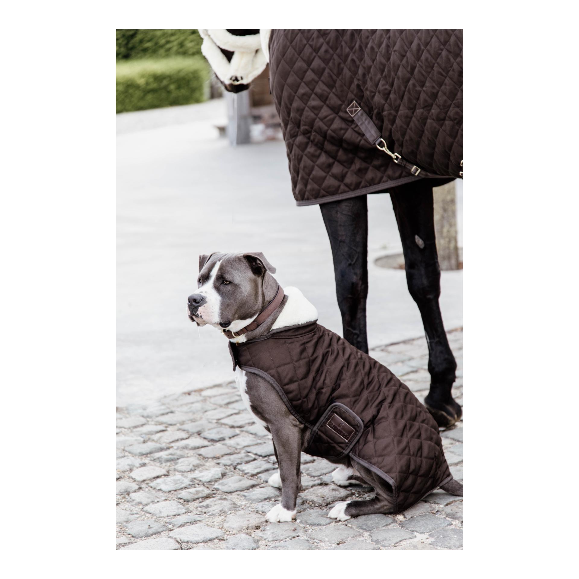 Hundemantel Original - brown