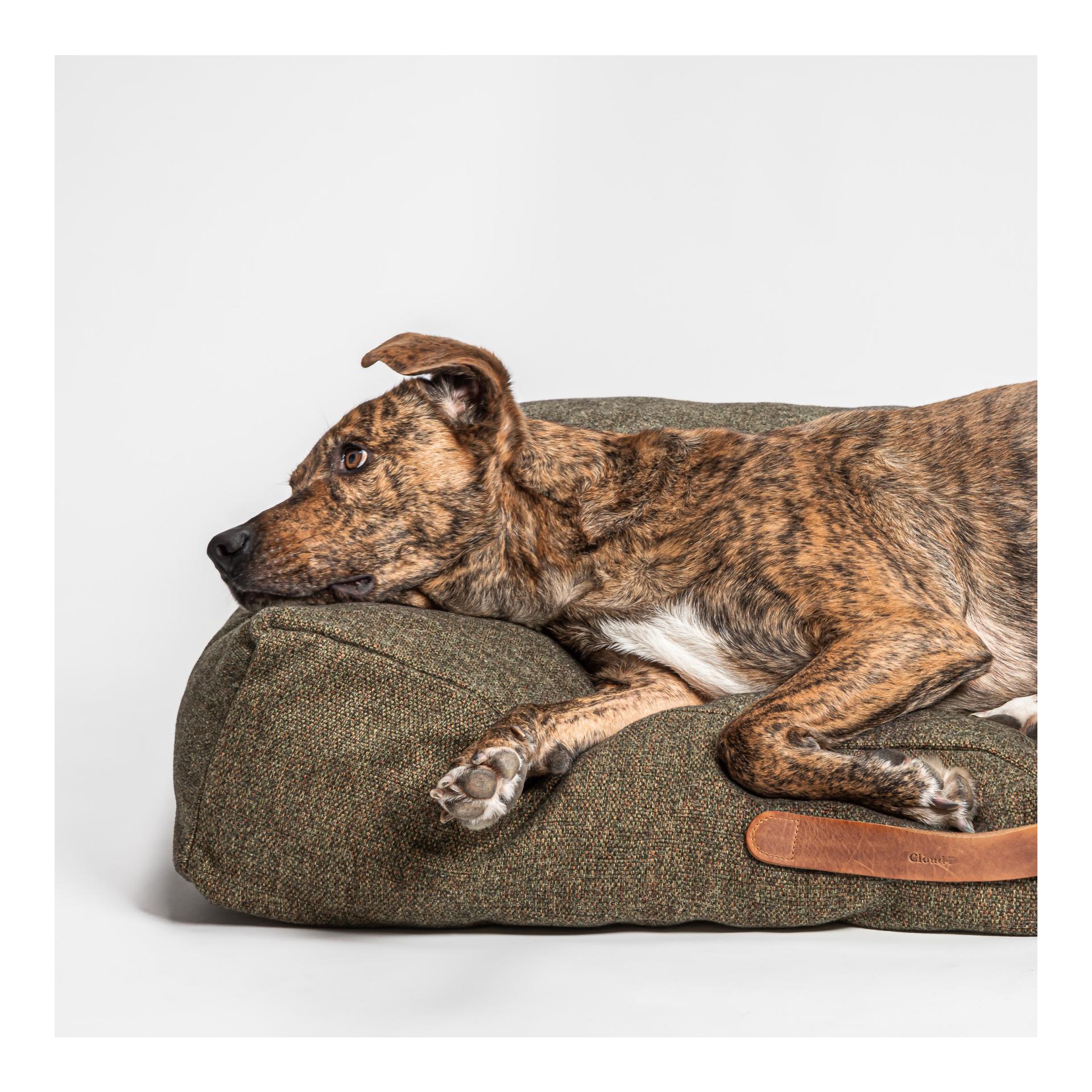 Coussin pour chien Homey - mélange olive