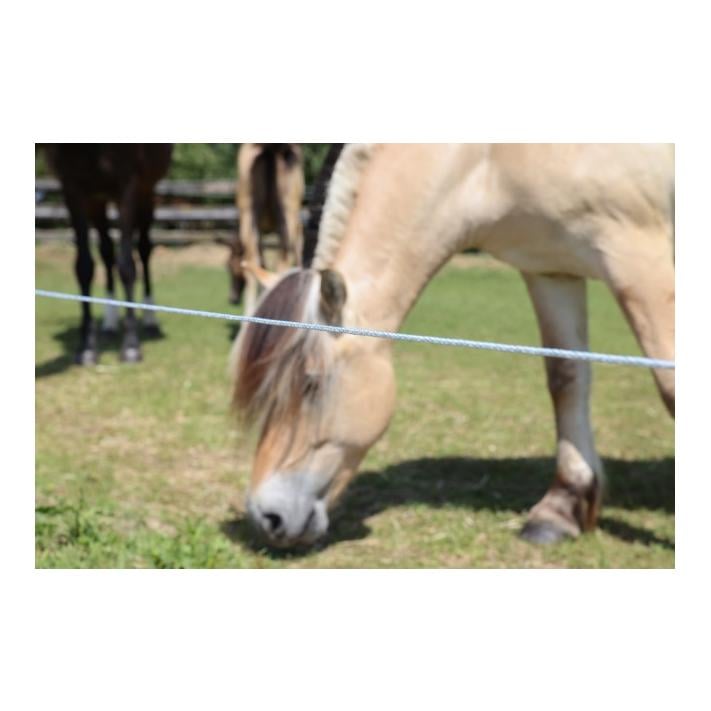 PlatinumLine corde de clôture tressée