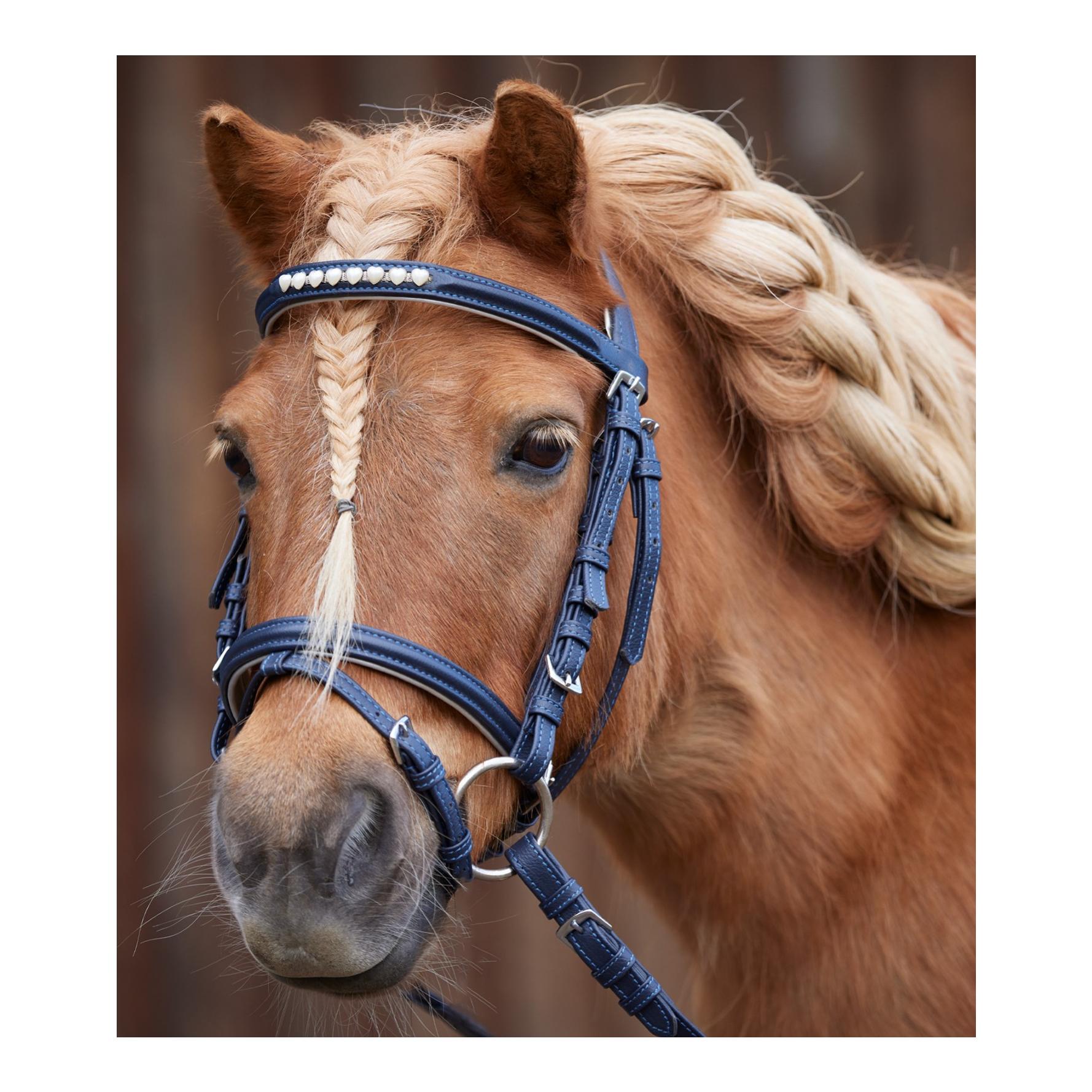 Ponyzaum Lucky Heart