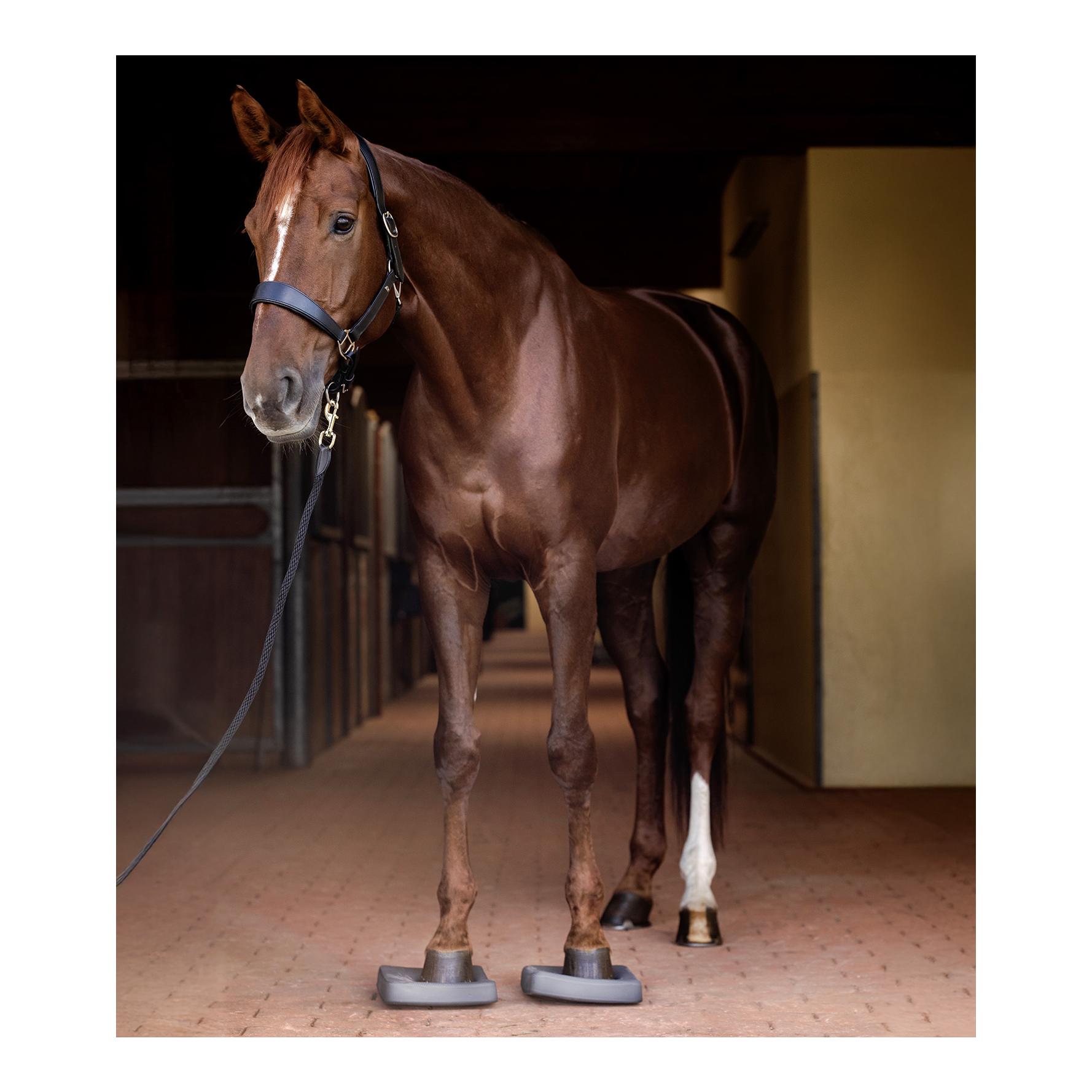 Waldhausen Health & Care Balance Pads