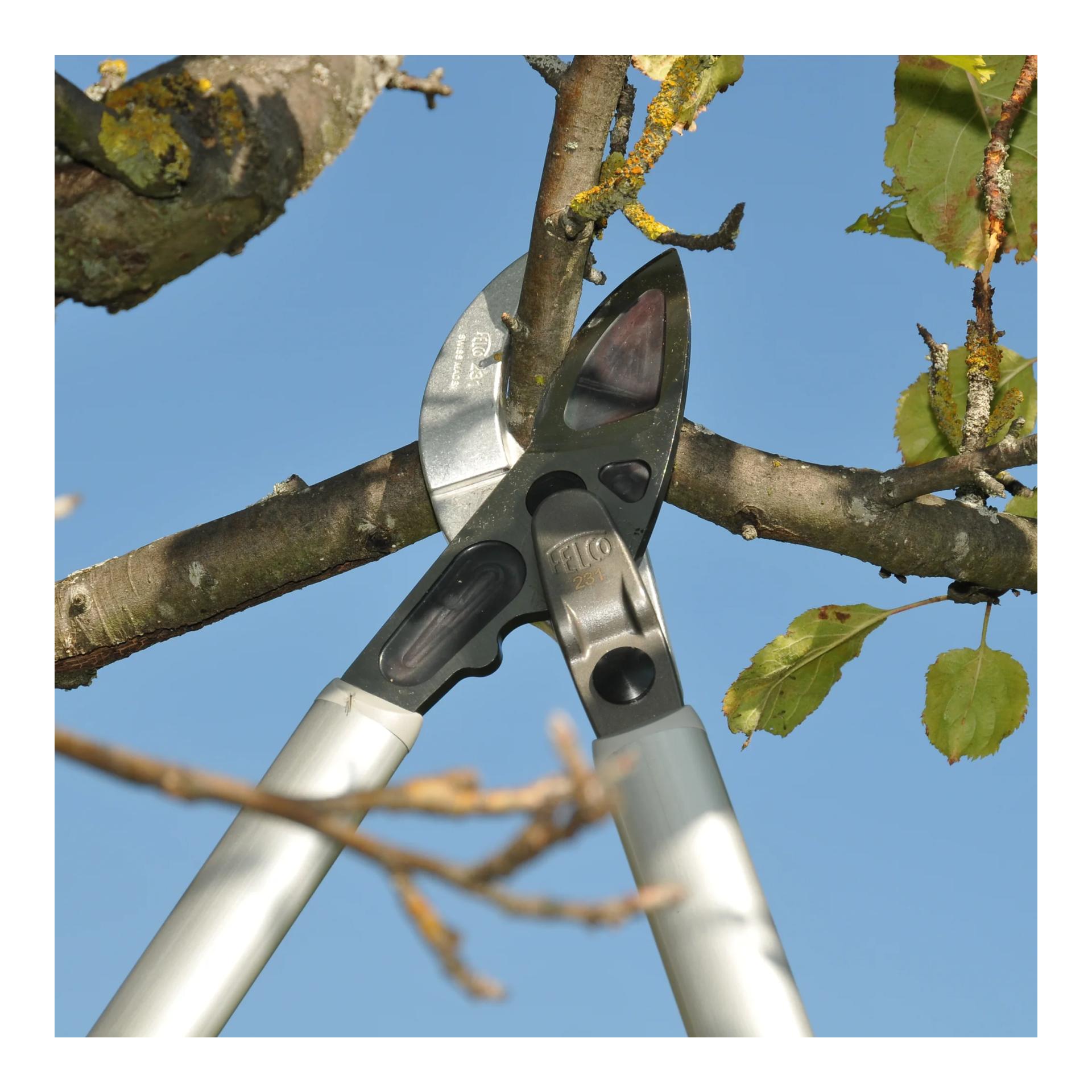 FELCO 231 - Astschere mit Kraftübersetzungssystem