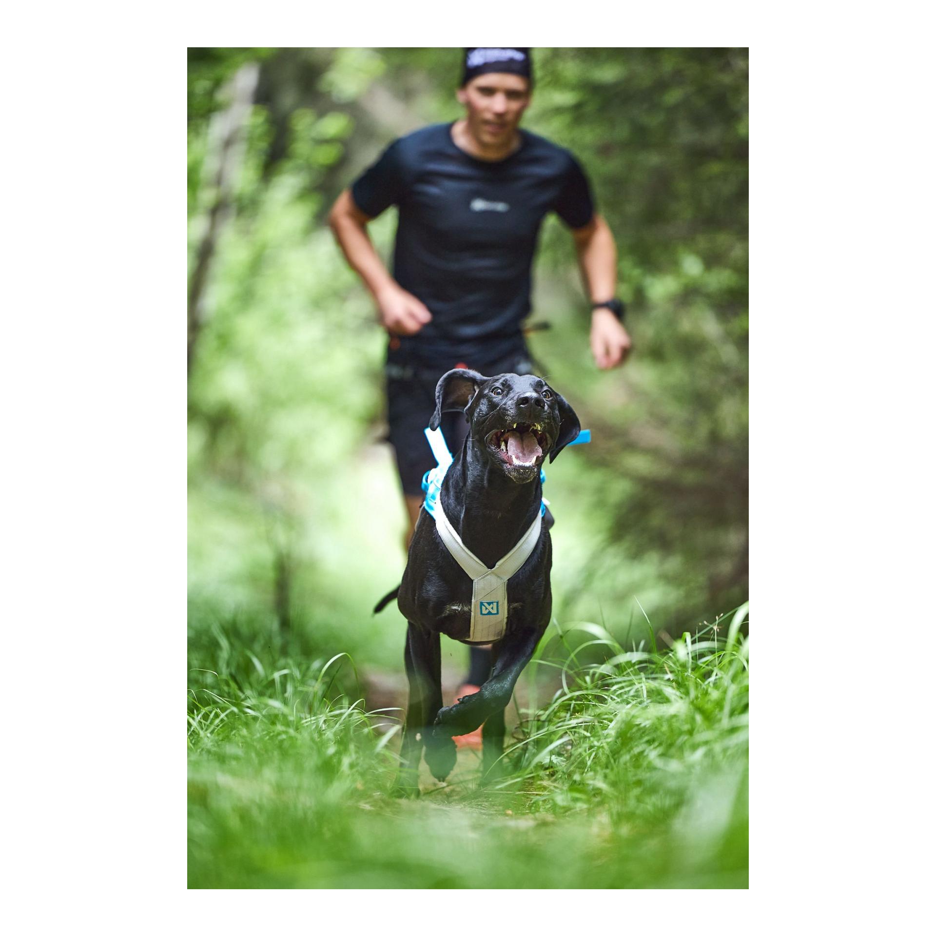 Zuggeschirr Freemotion Harness 5.0