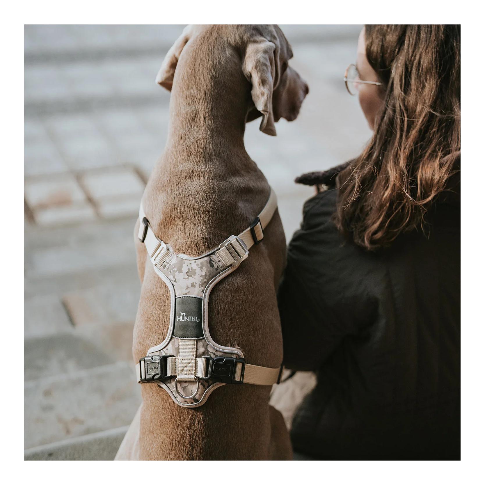 Geschirr Divo Camouflage