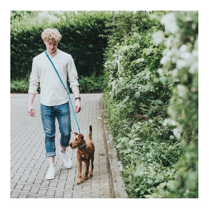 Verstellbare Führleine Hilo - grau