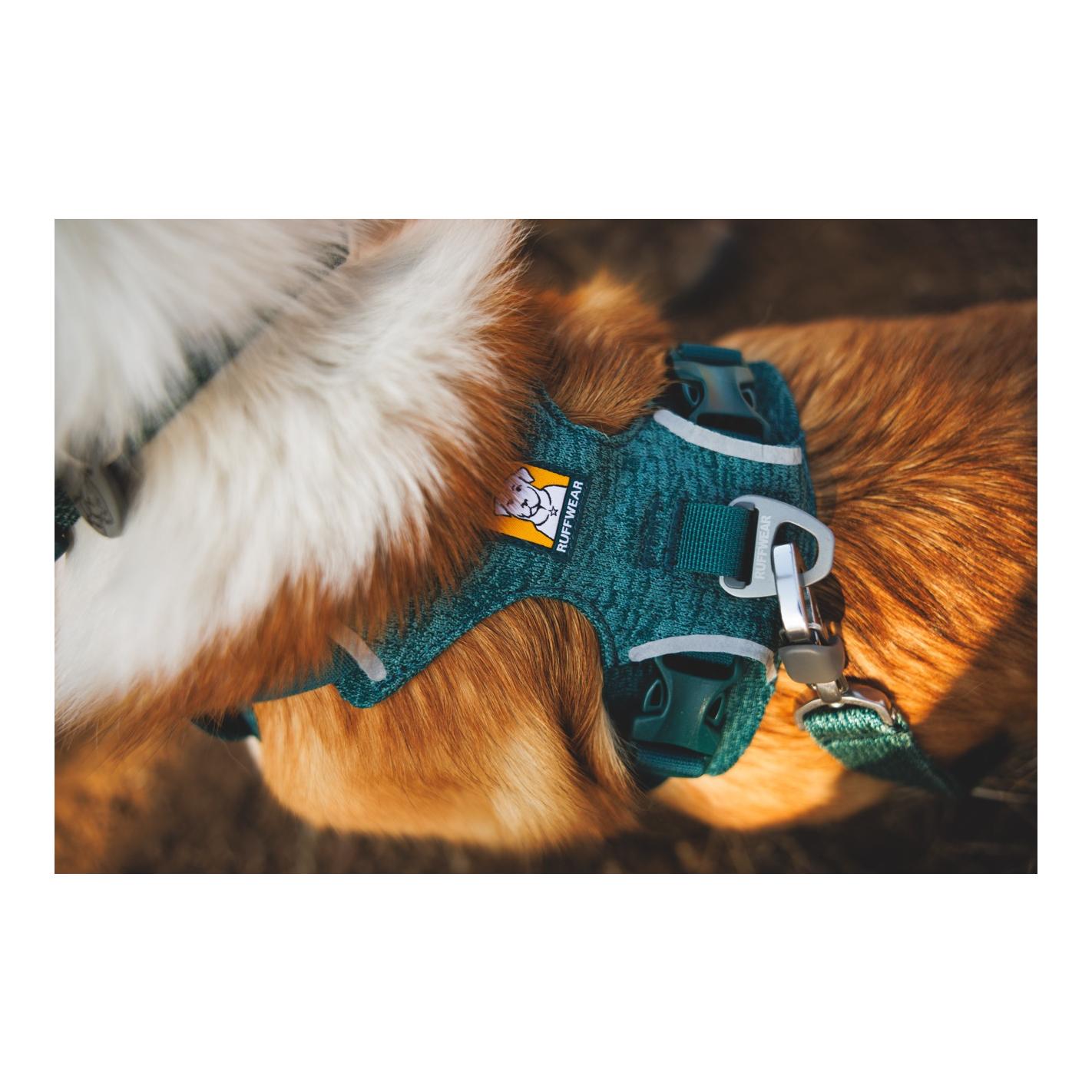 Ruffwear Front Range™ Flex Hundeleine