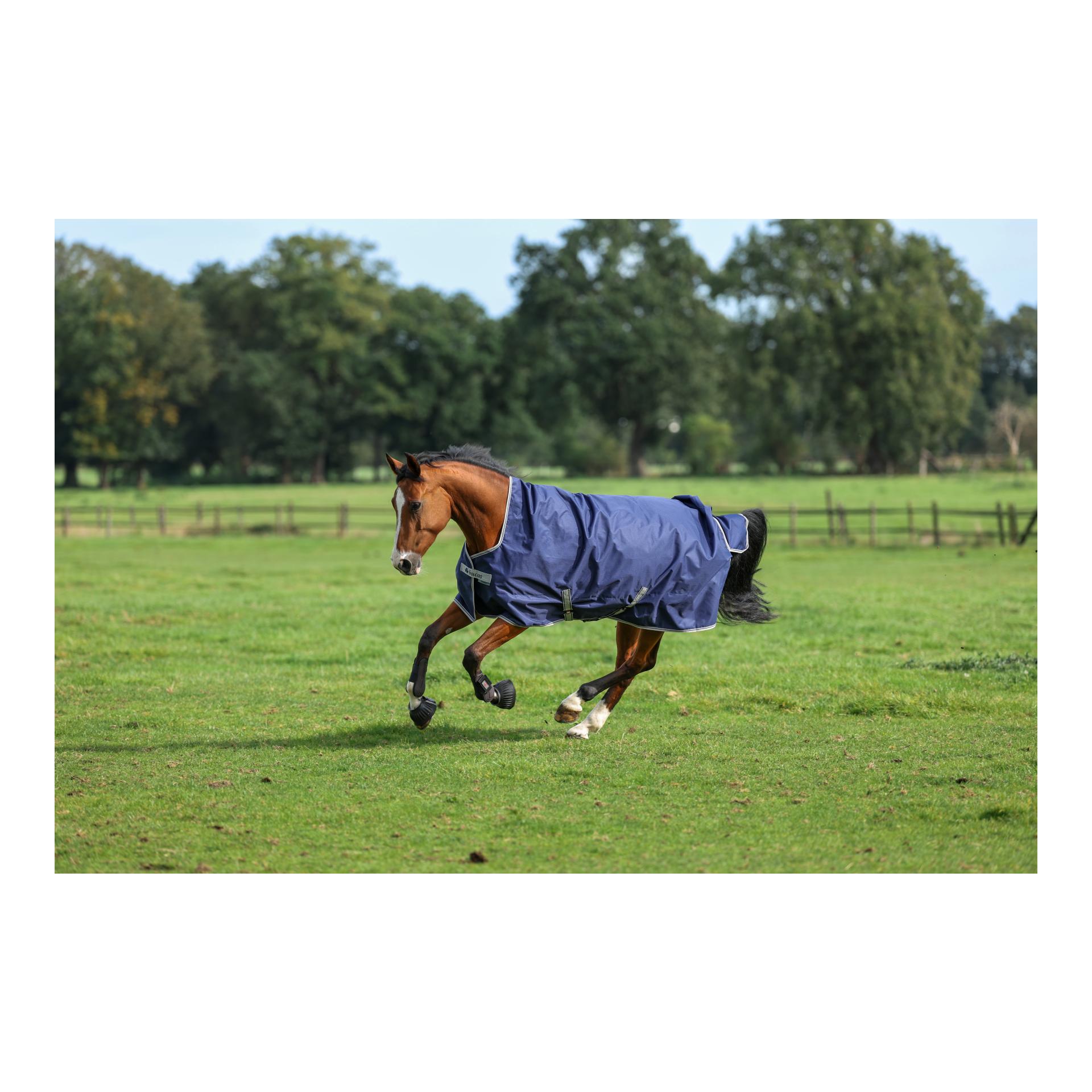 Bucas Weidedecke Freedom Turnout High Neck Light - navy/silver