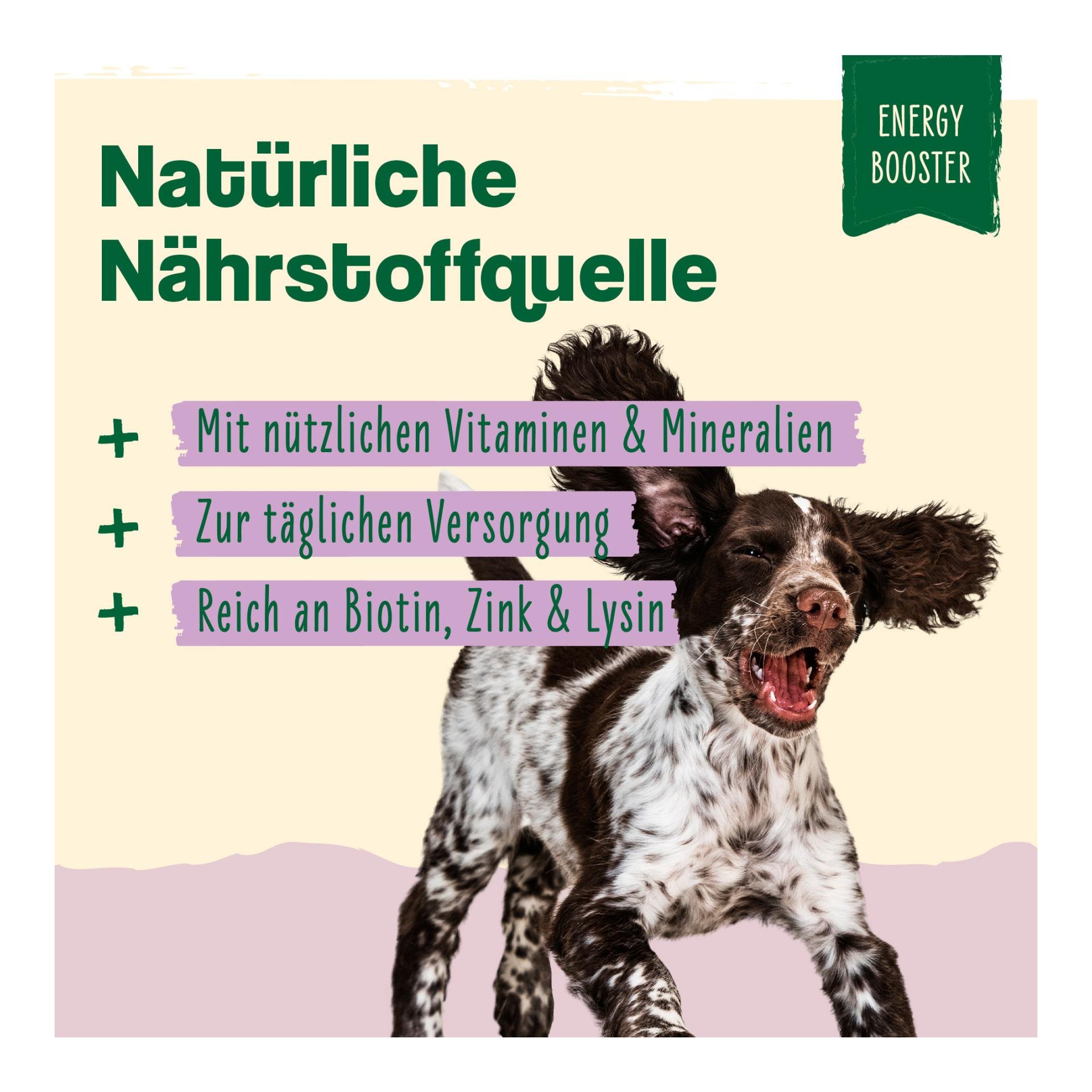 IdaPlus Bierhefe Tabletten - optimale Pflege für glänzendes Fell & kräftige Haut