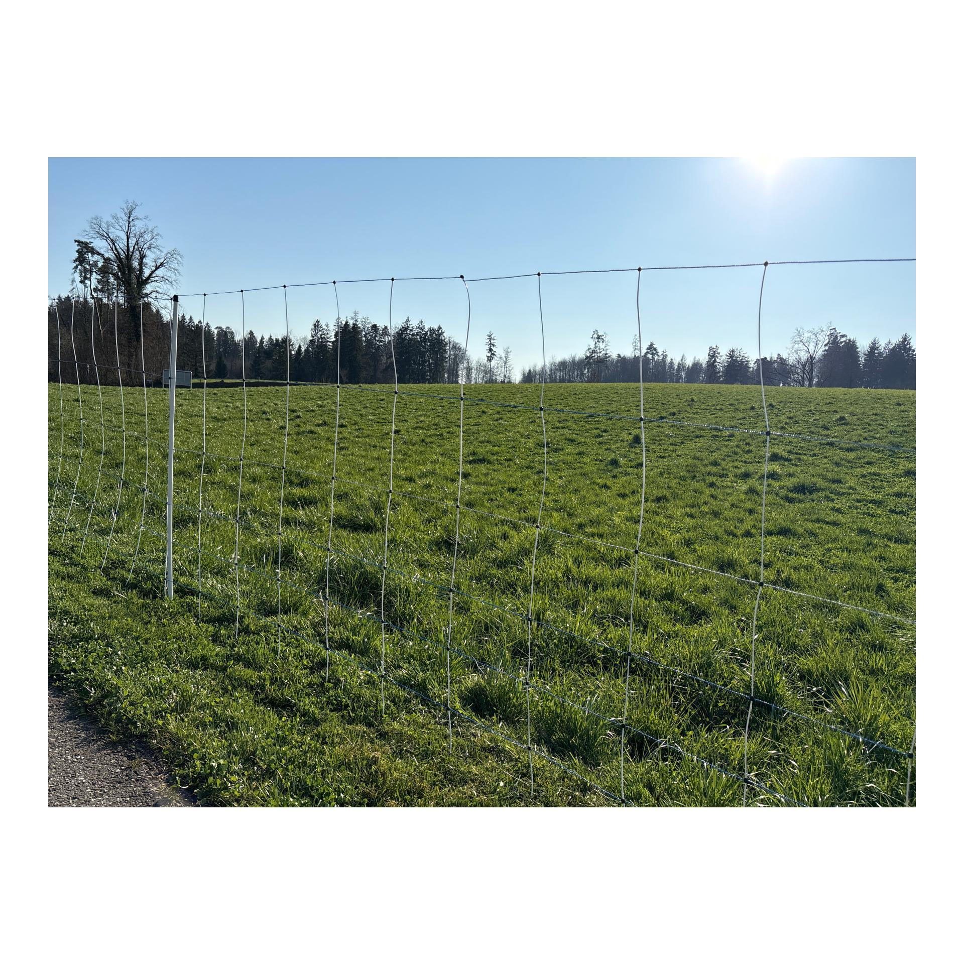 Hauptner Weidenetz Alpin Wild - Doppelspitz