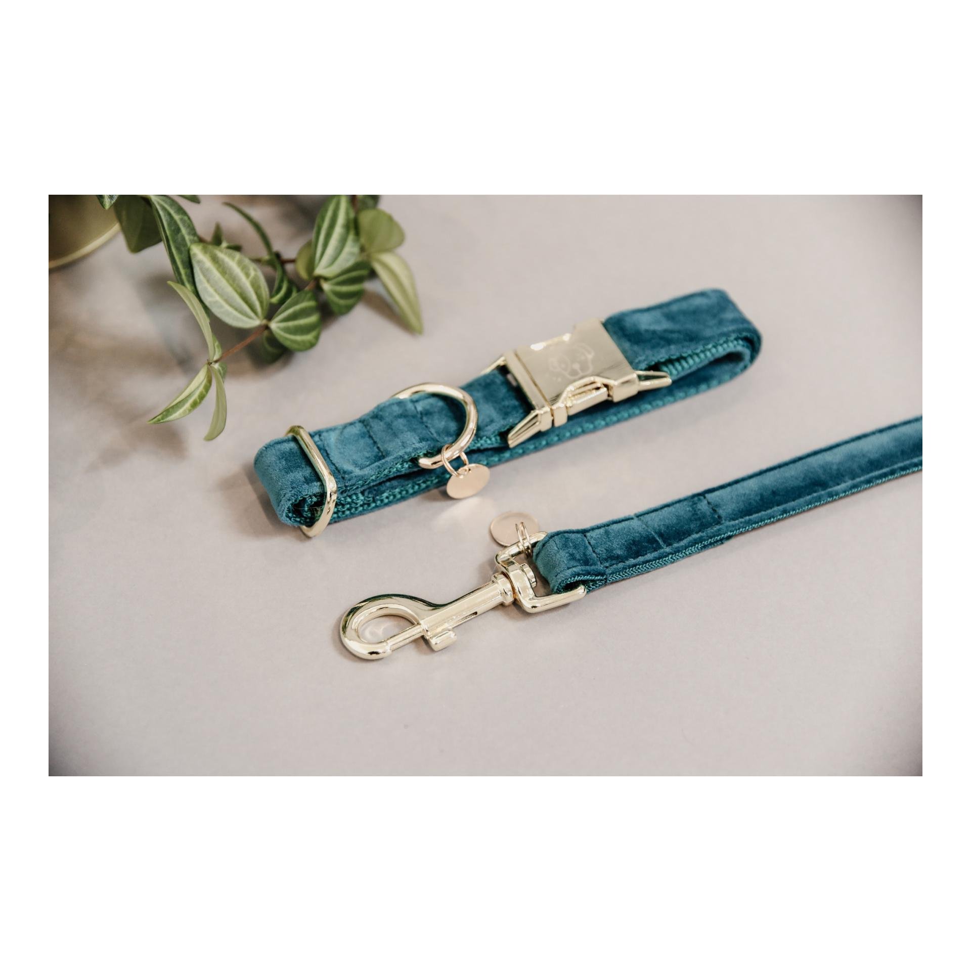 Hundehalsband Velvet - emerald