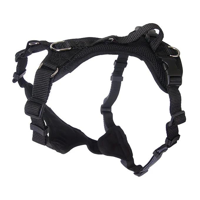 Image of Beat Grossenbacher Welpengeschirr Puppy - Schwarz - bei Hauptner.ch