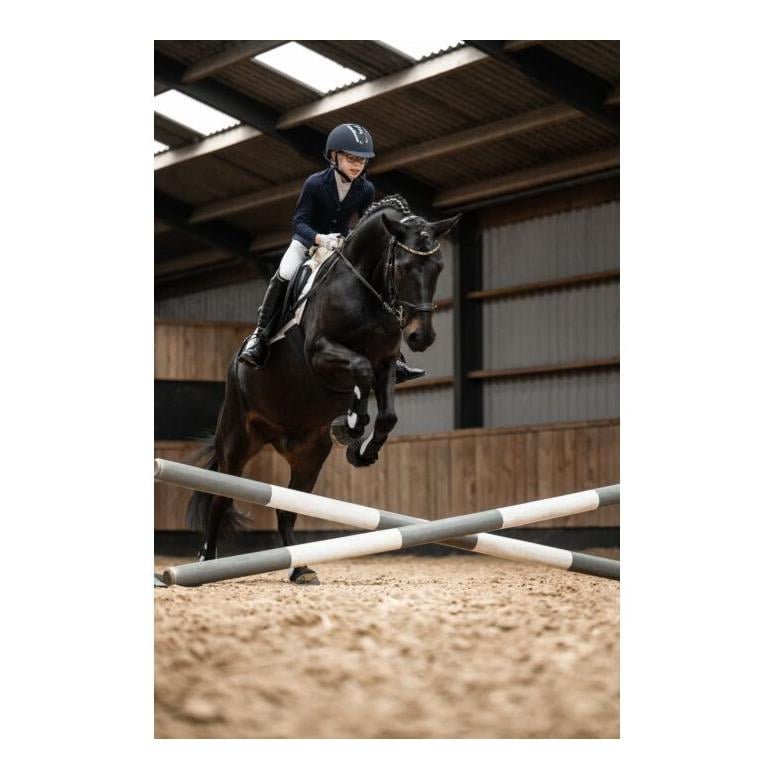 Reithelm Carbon Professional