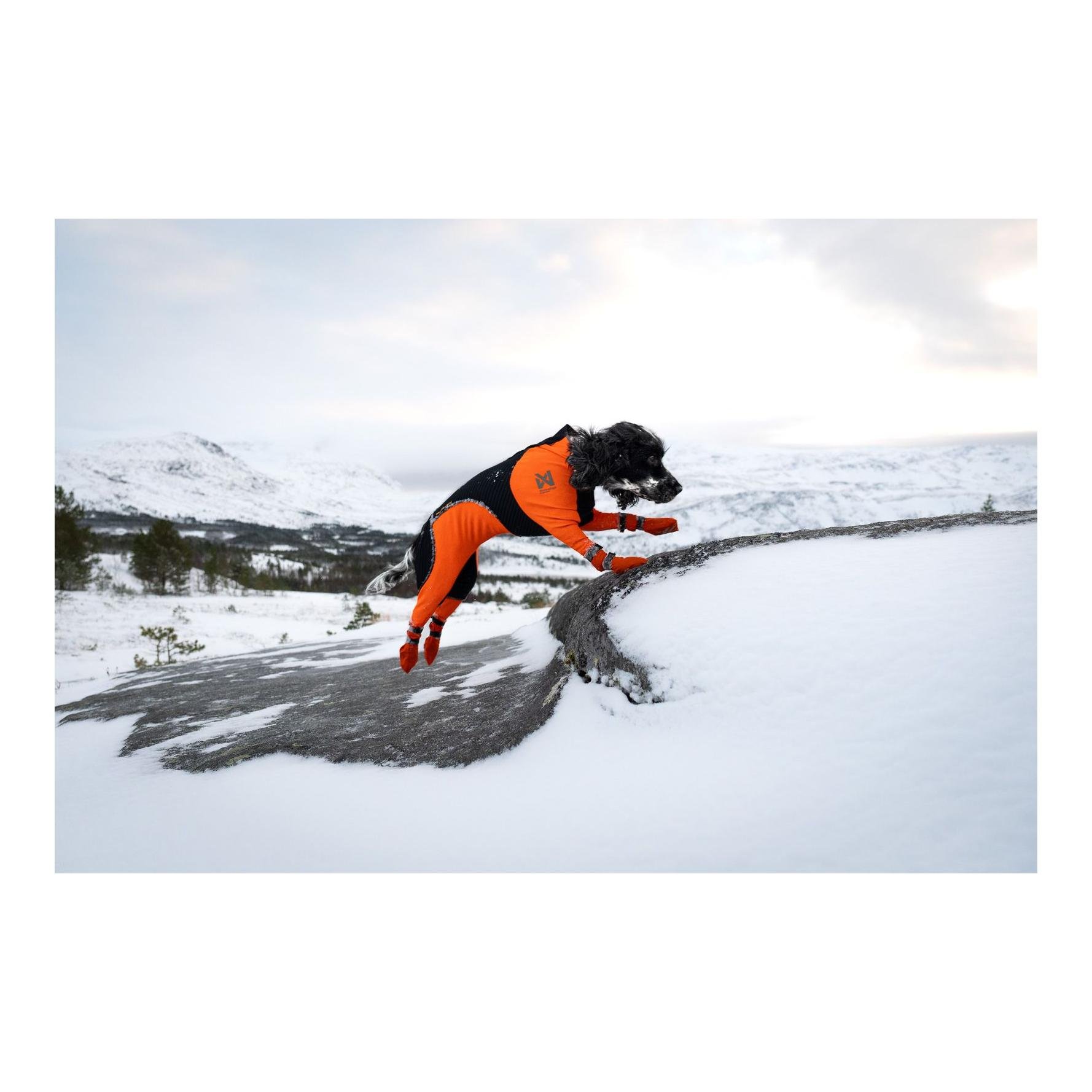 Contact Bootie High Hundeschuhe