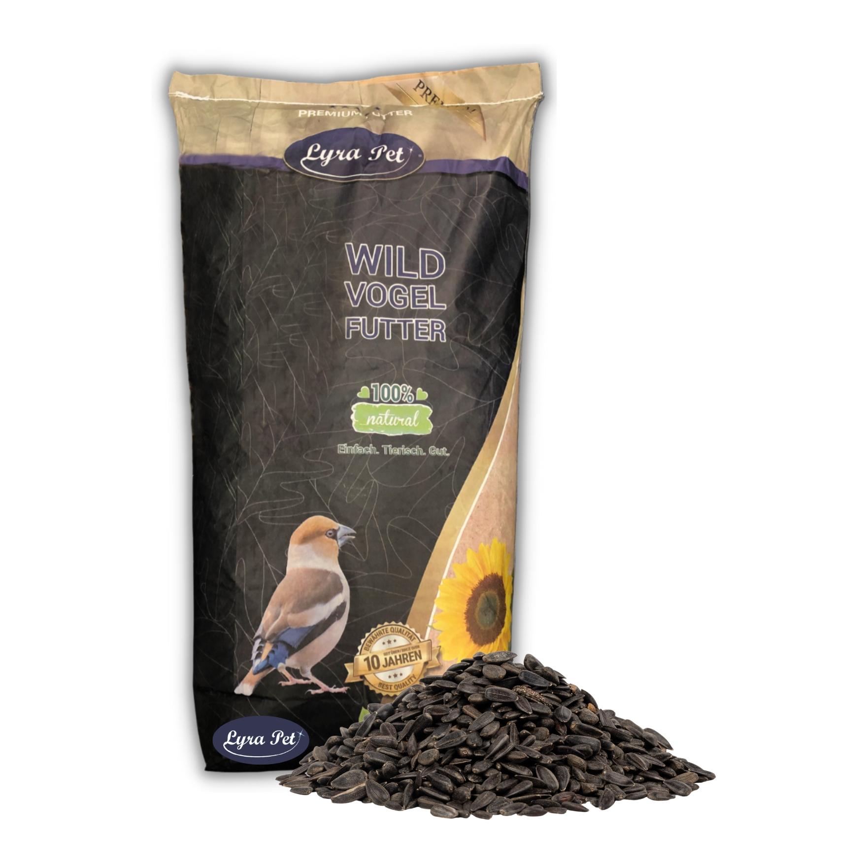 Sonnenblumenkerne schwarz