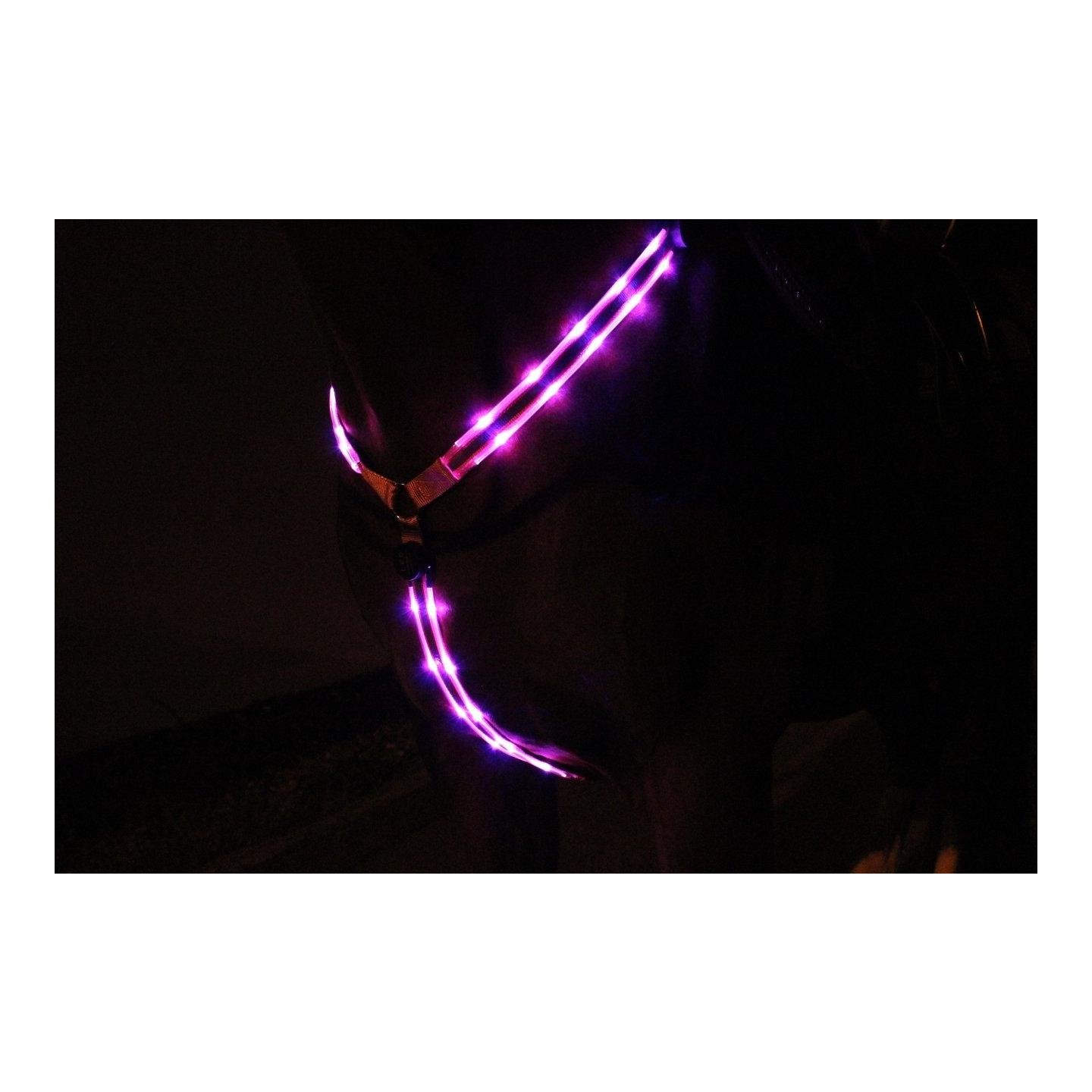 LED Leuchtvorgeschirr 2.0 - pink