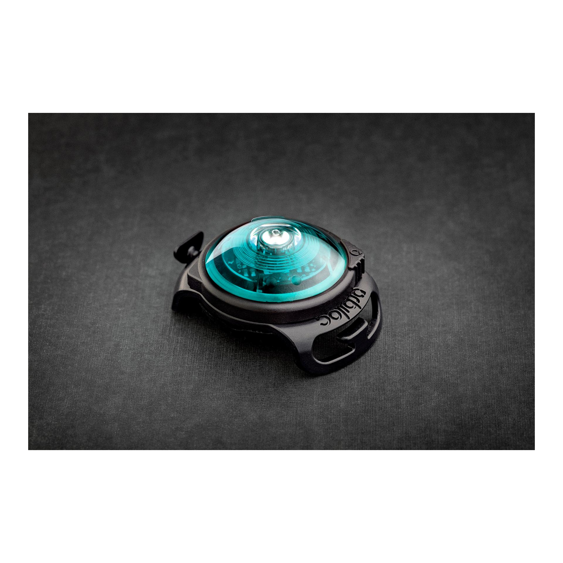 Safety Light Orbiloc Dog Dual - türkis