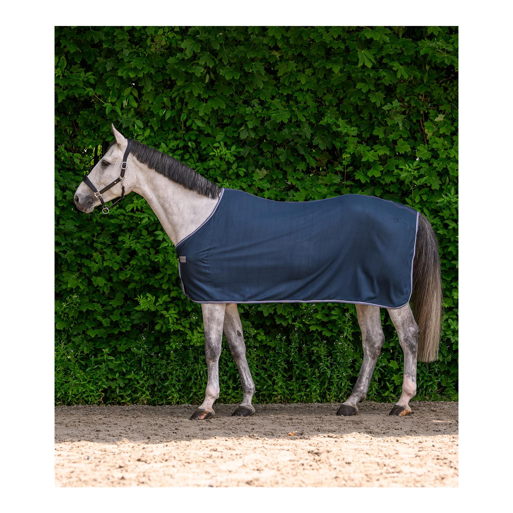 ECONOMIQUE Couverture polaire