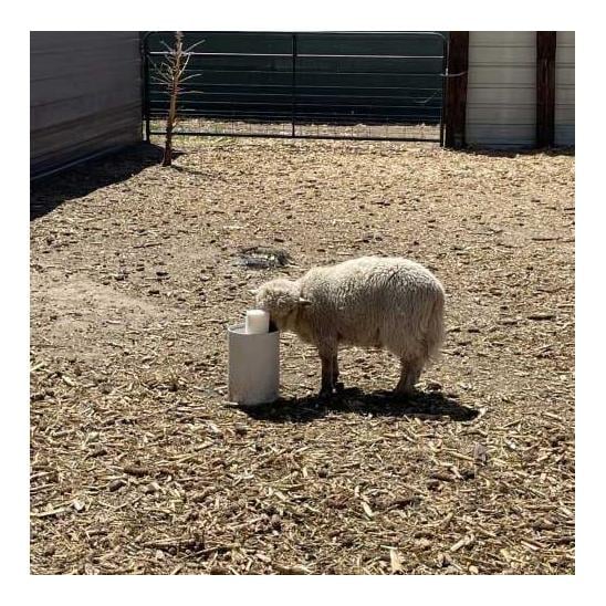 DRINKING POST frostsichere Tränke ohne Strom