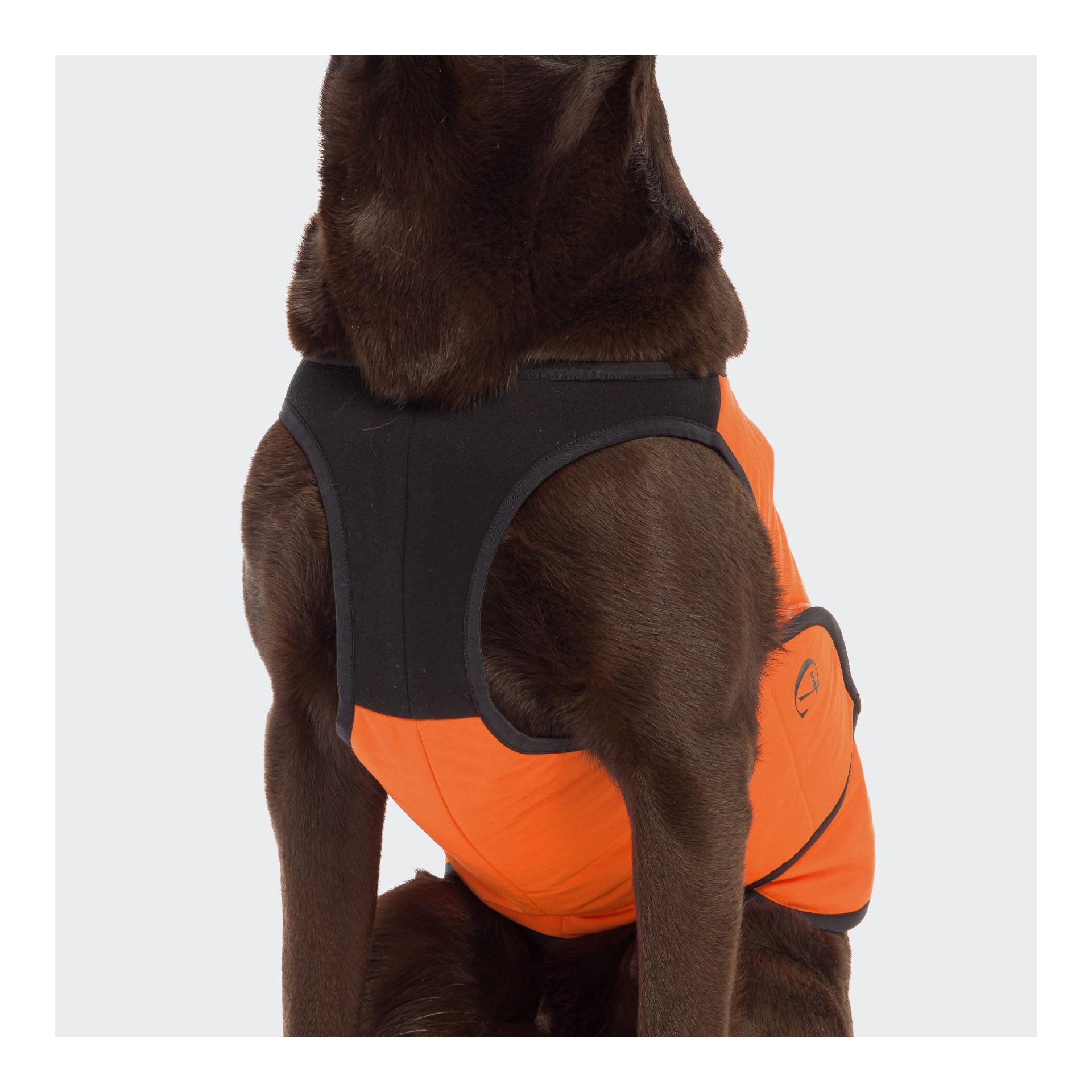 Gilet de refroidissement pour chiens Iceland