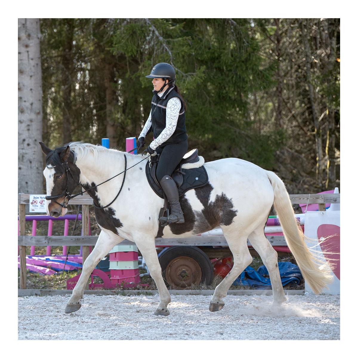 Teddyfleece Weste Black Unicorn